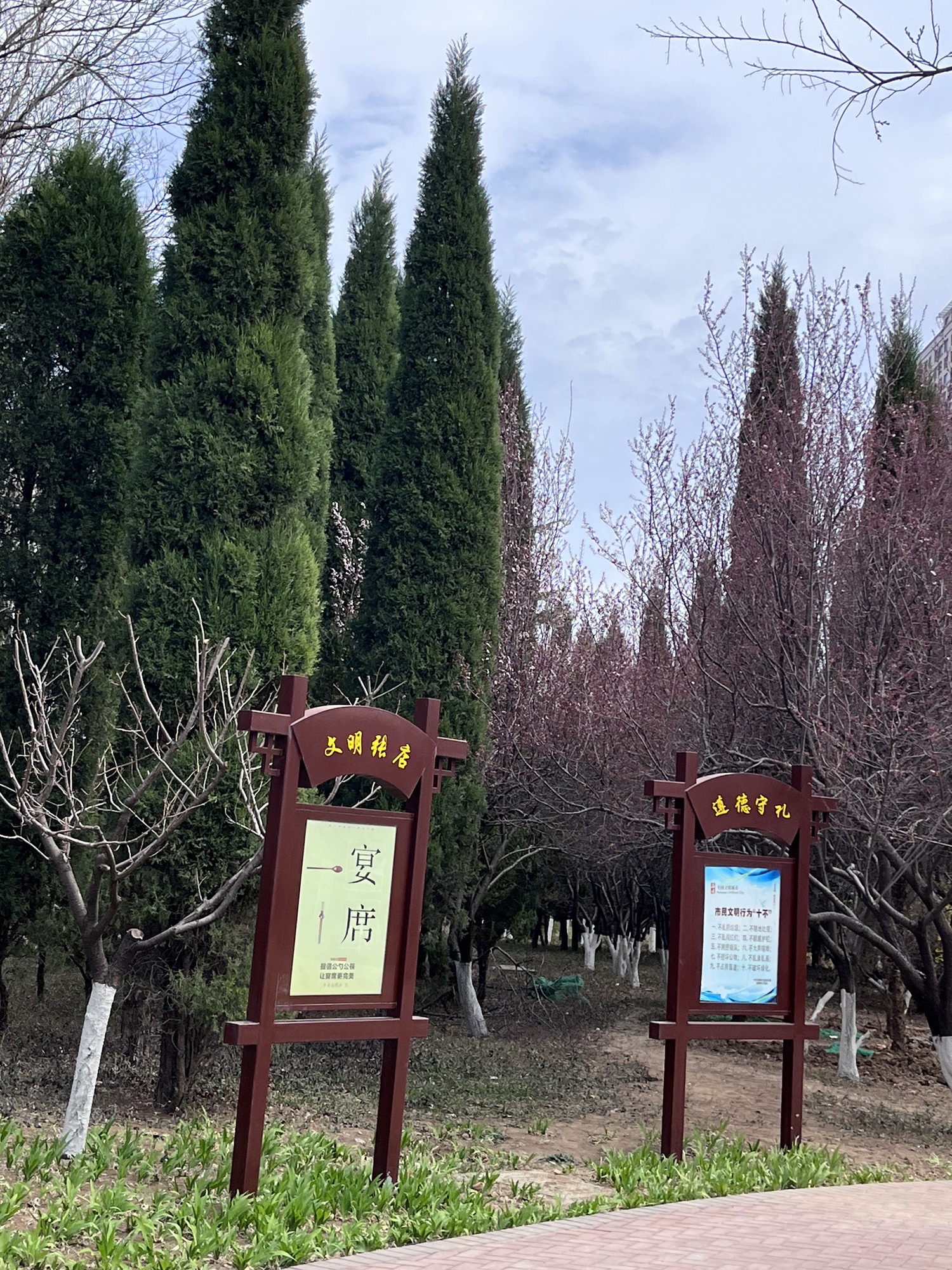 张店市民公园