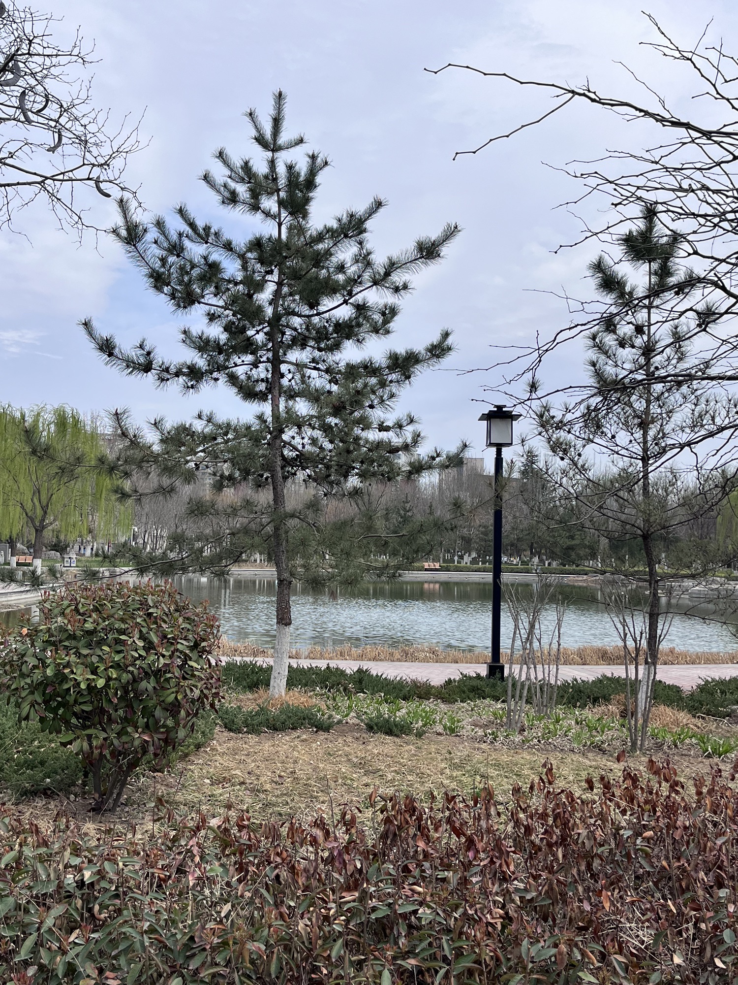 张店市民公园