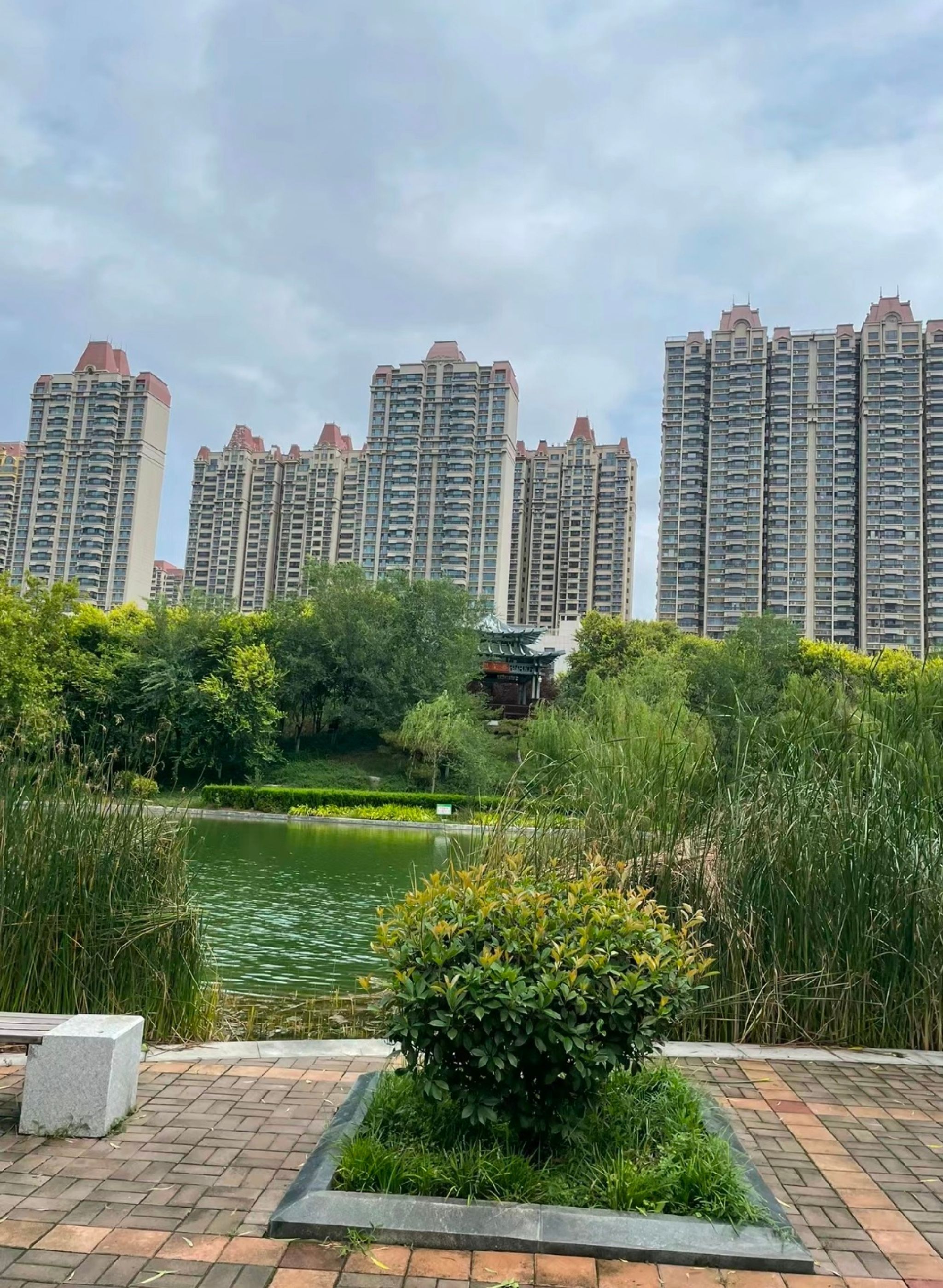 张店市民公园旅行图片 1