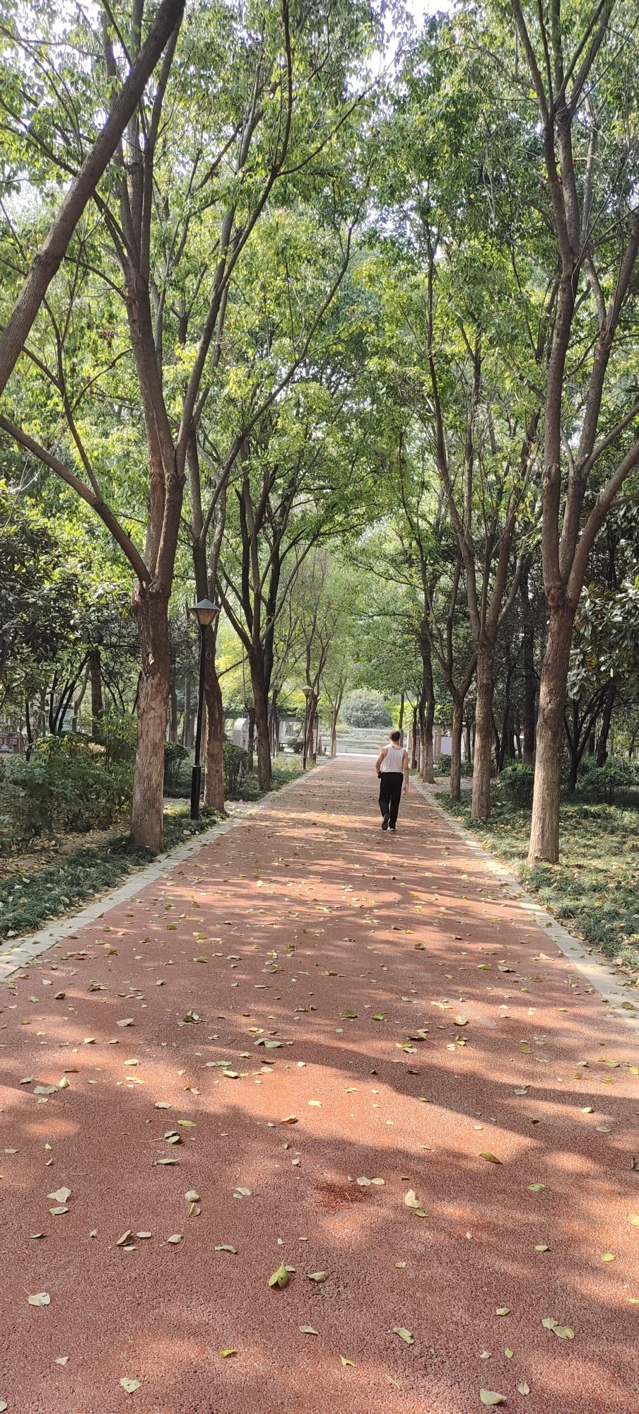 厚德园旅行图片 2