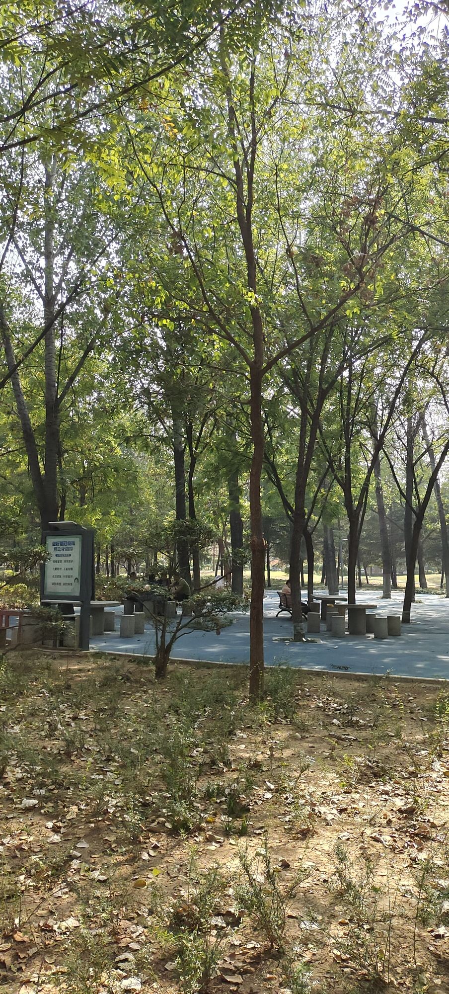 厚德园旅行图片 3