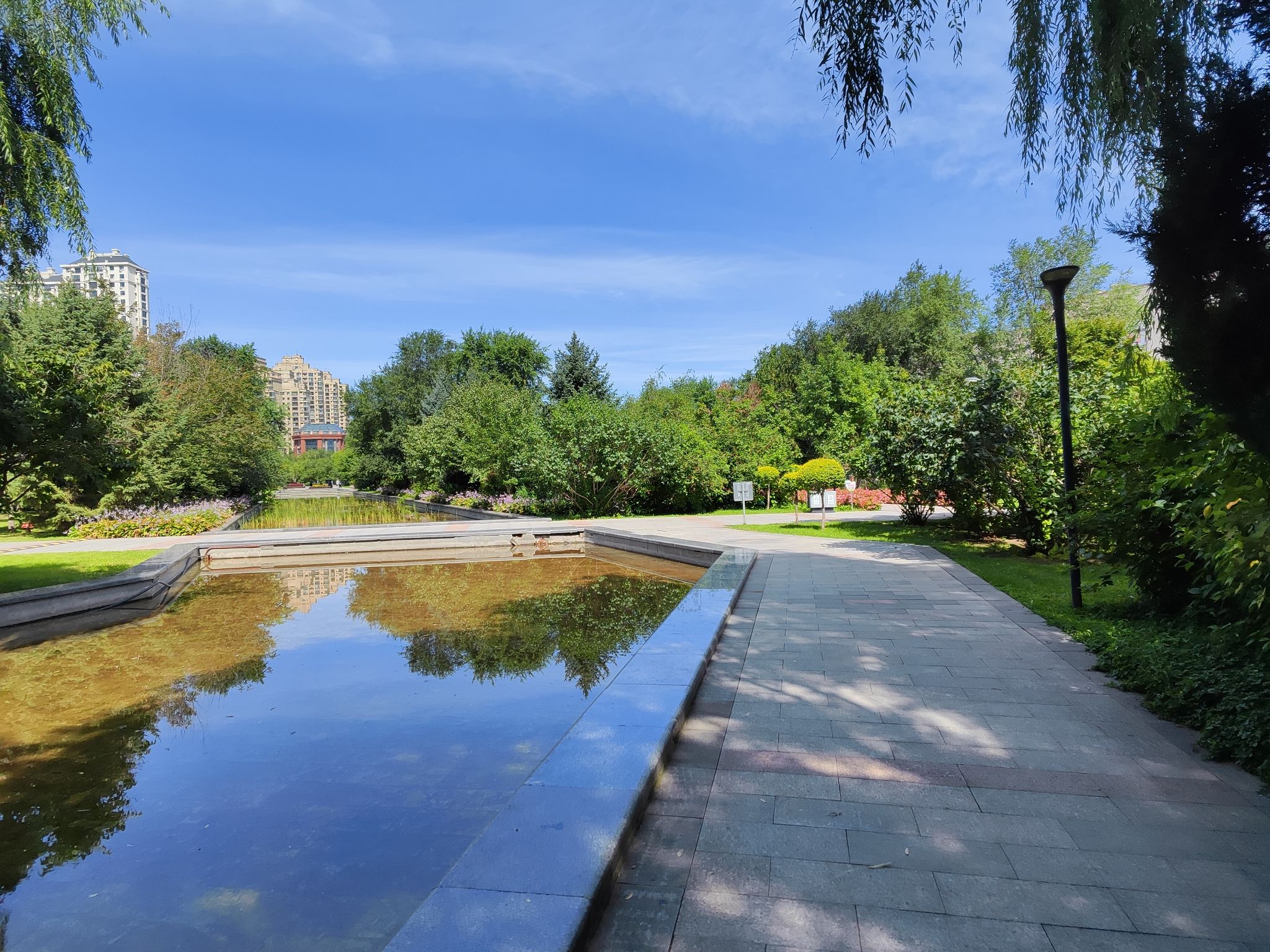 金河公园旅行图片 3