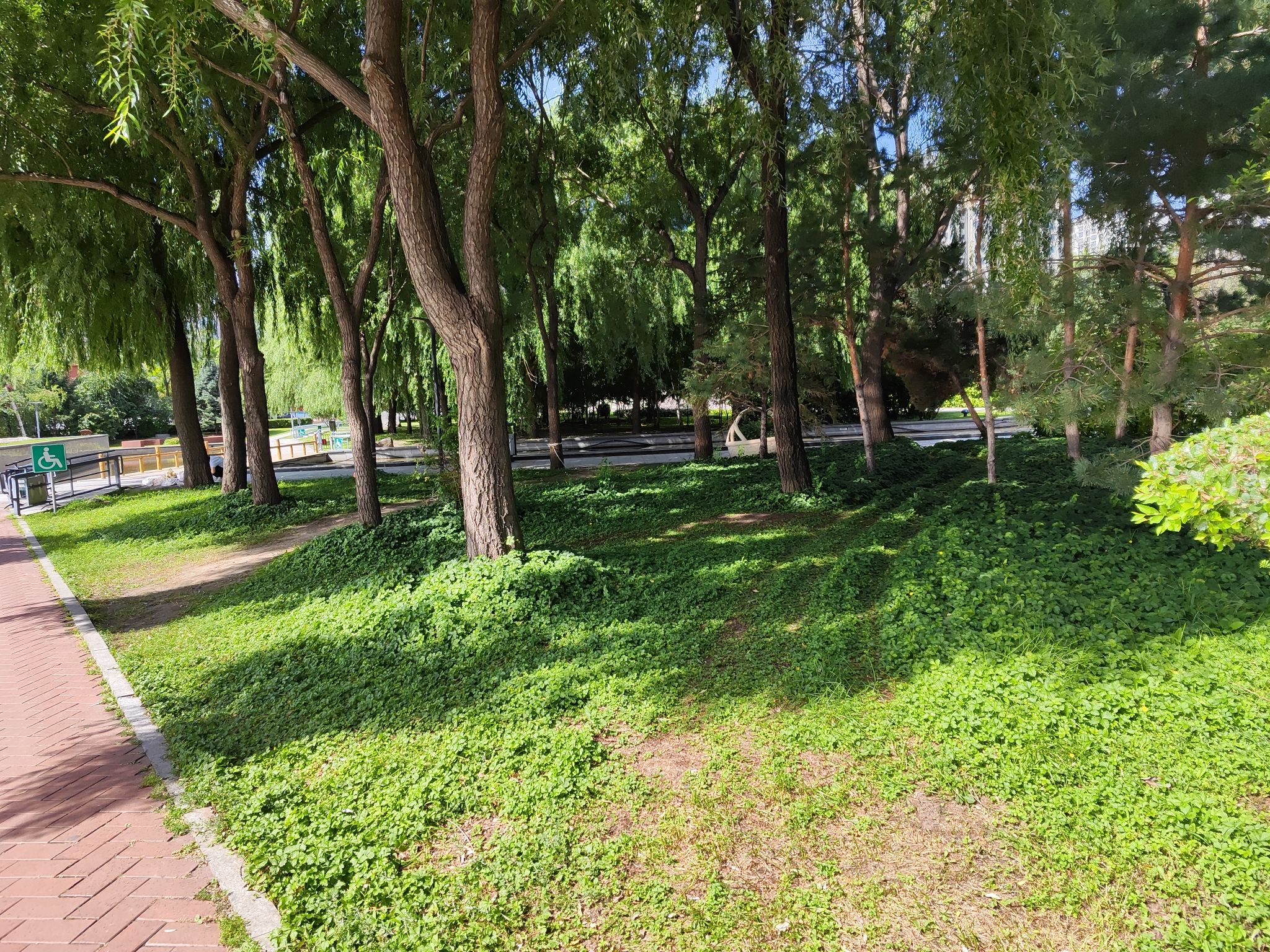 金河公园旅行图片 2