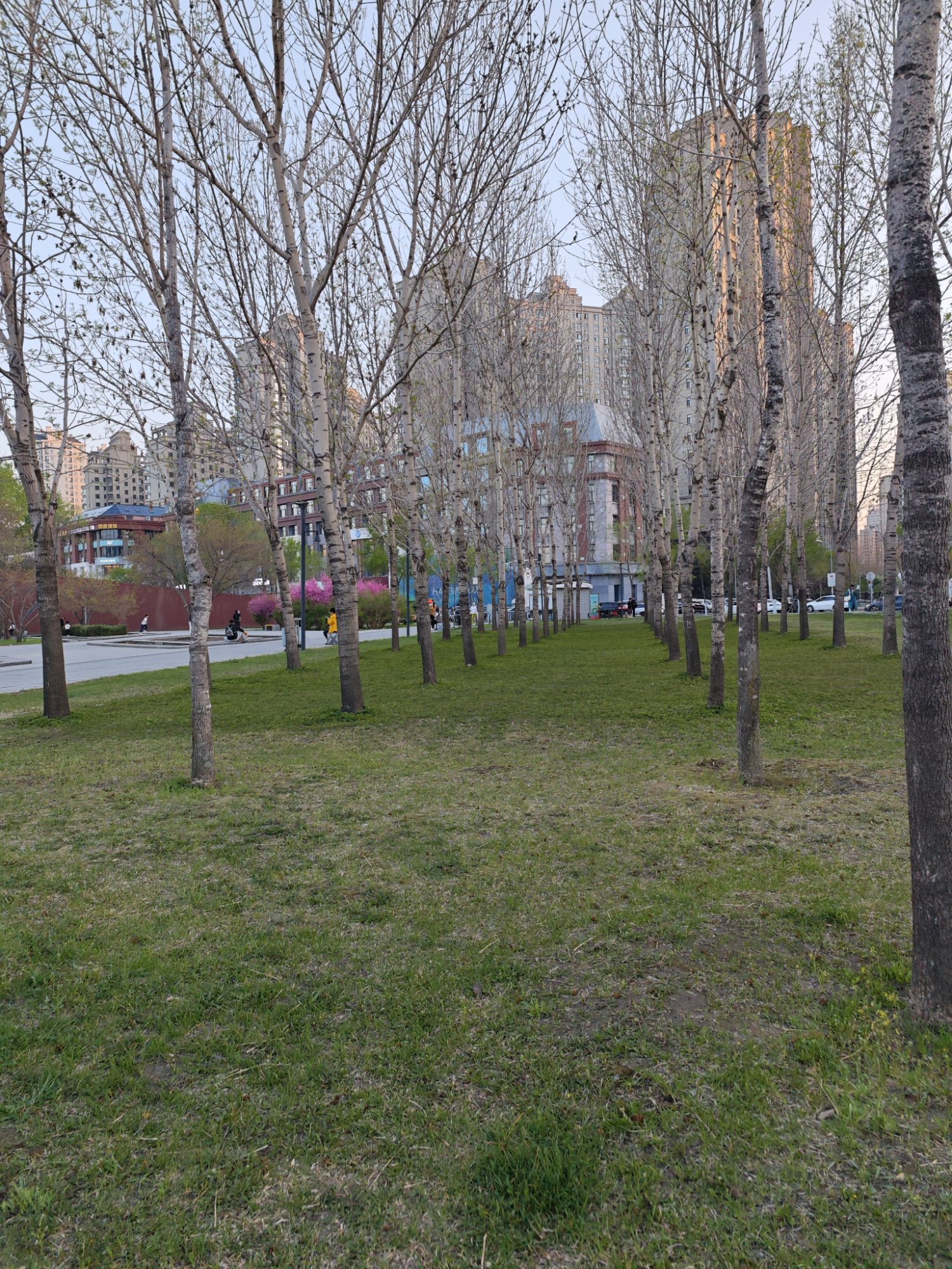 金河公园旅行图片 3