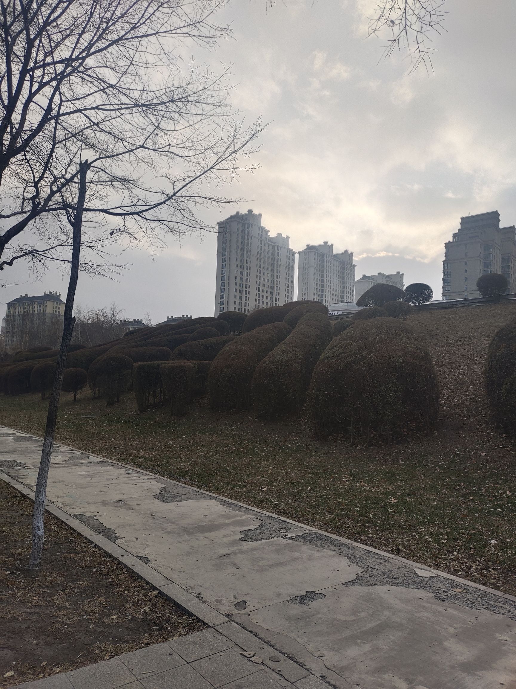 金河公园旅行图片 2