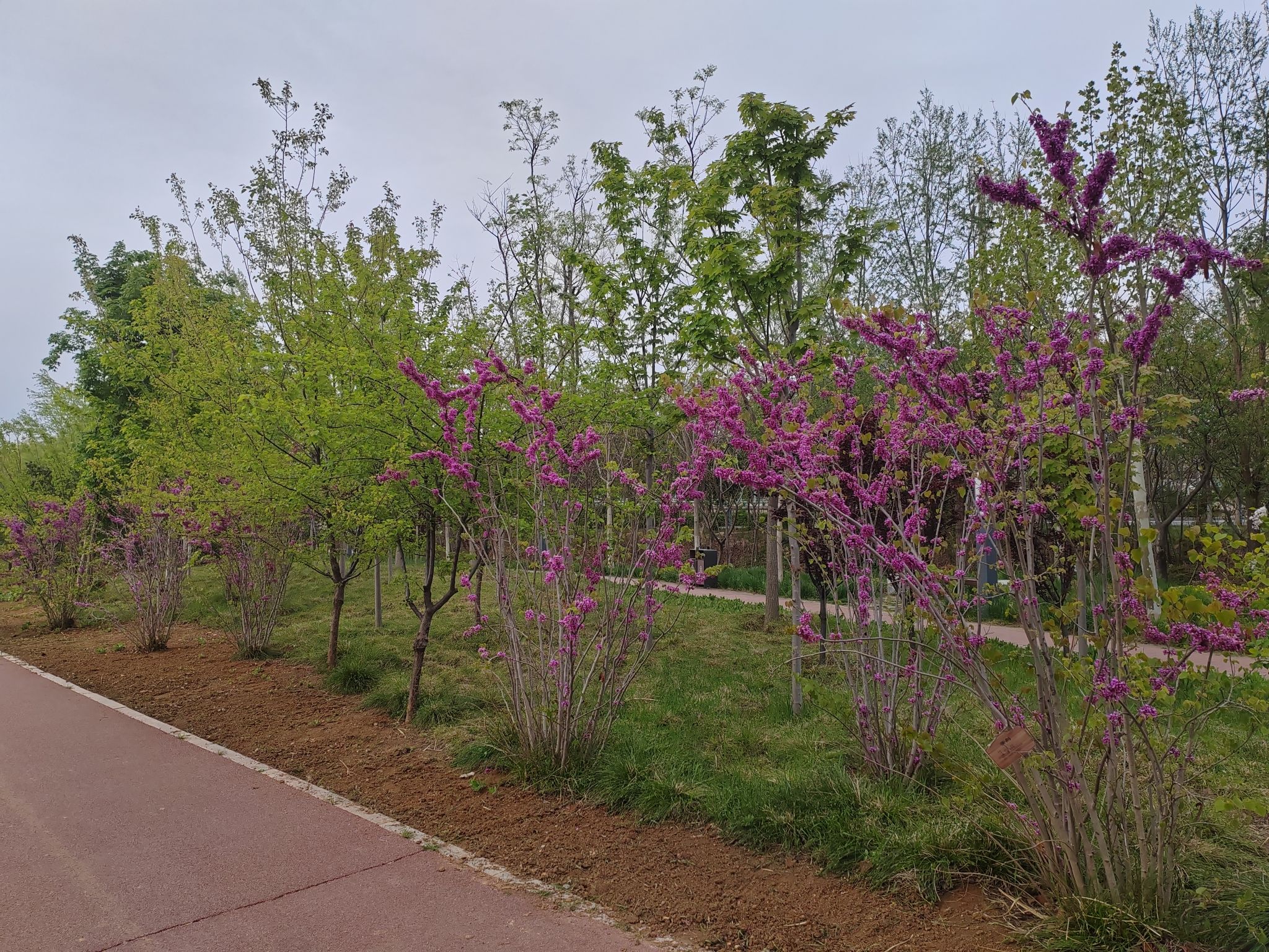 锦江公园旅行图片 2