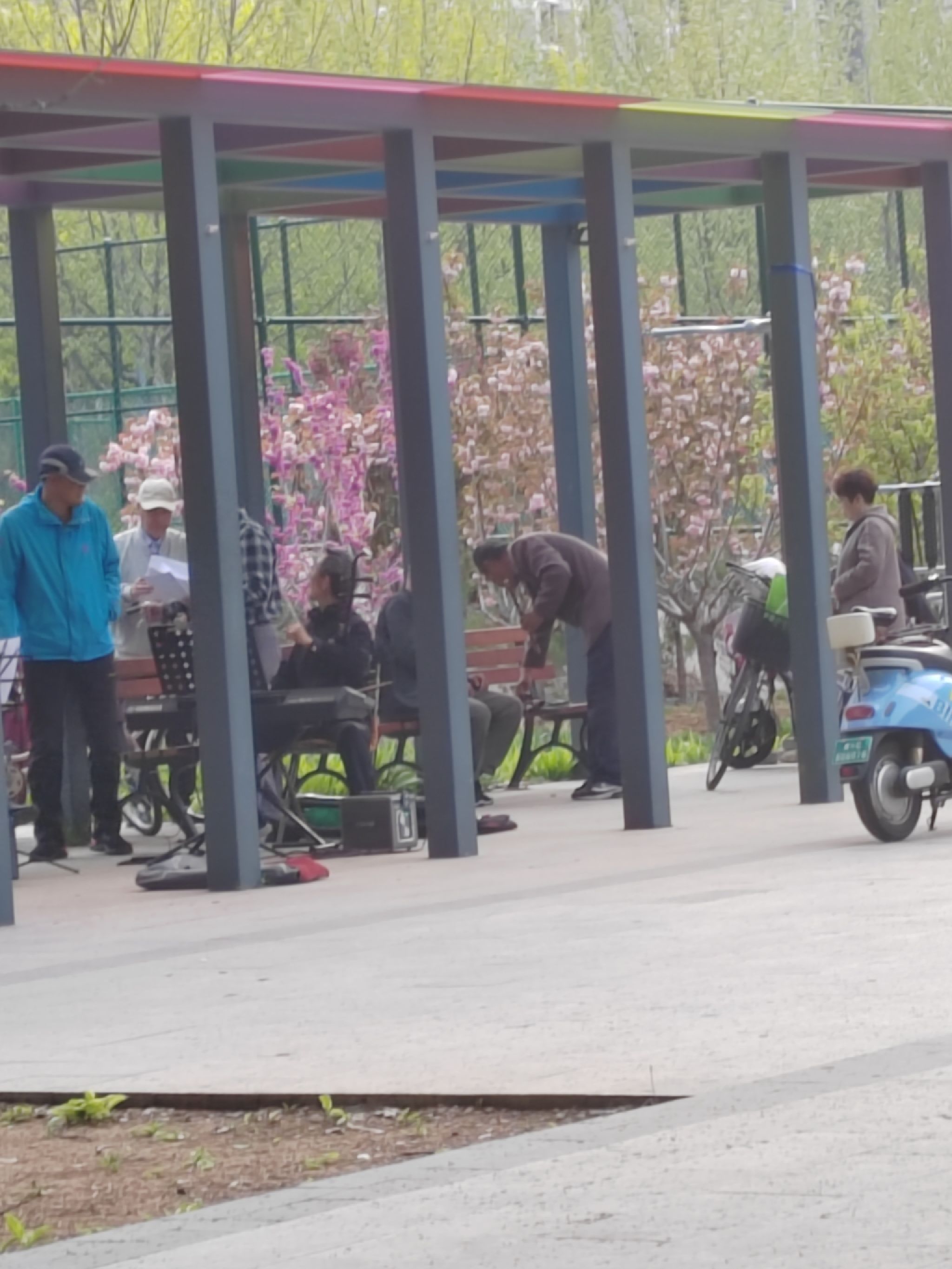 锦江公园旅行图片 1