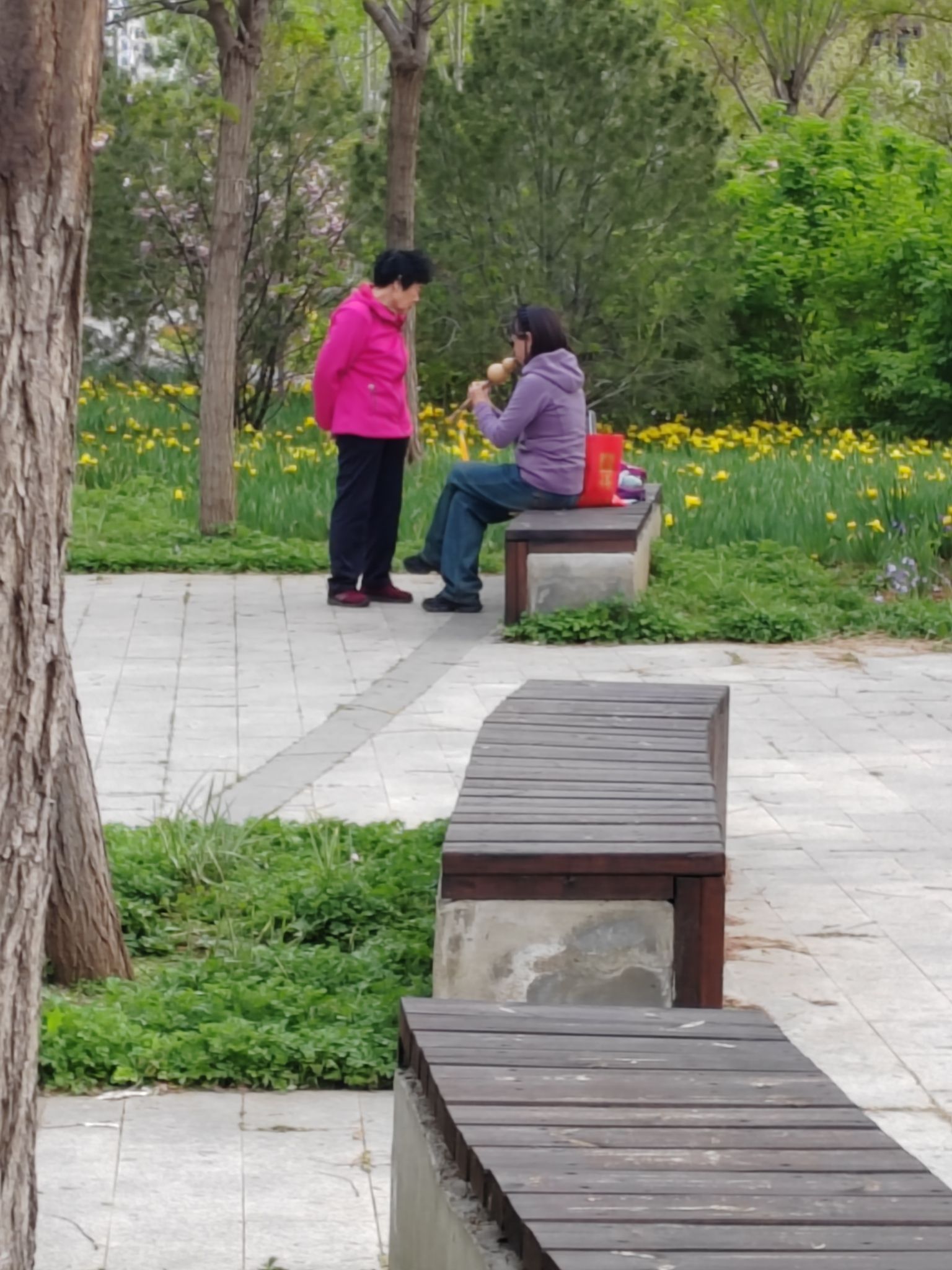 锦江公园旅行图片 3