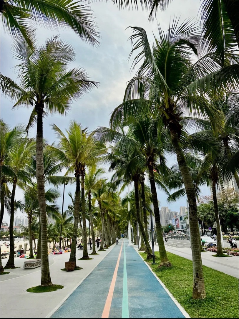 金沙湾滨海休闲旅游区旅行图片 3