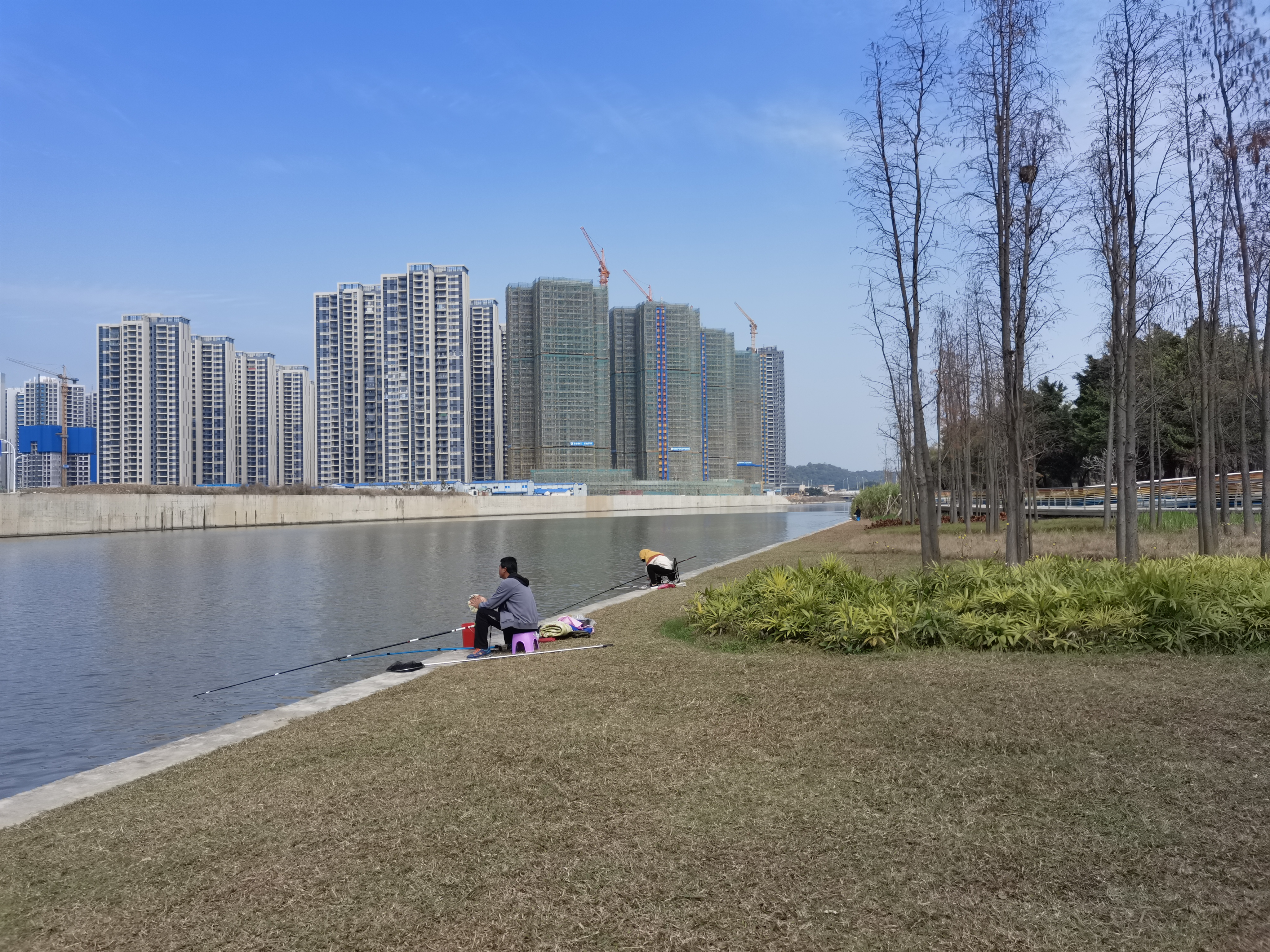 龙舟山公园旅行图片 3
