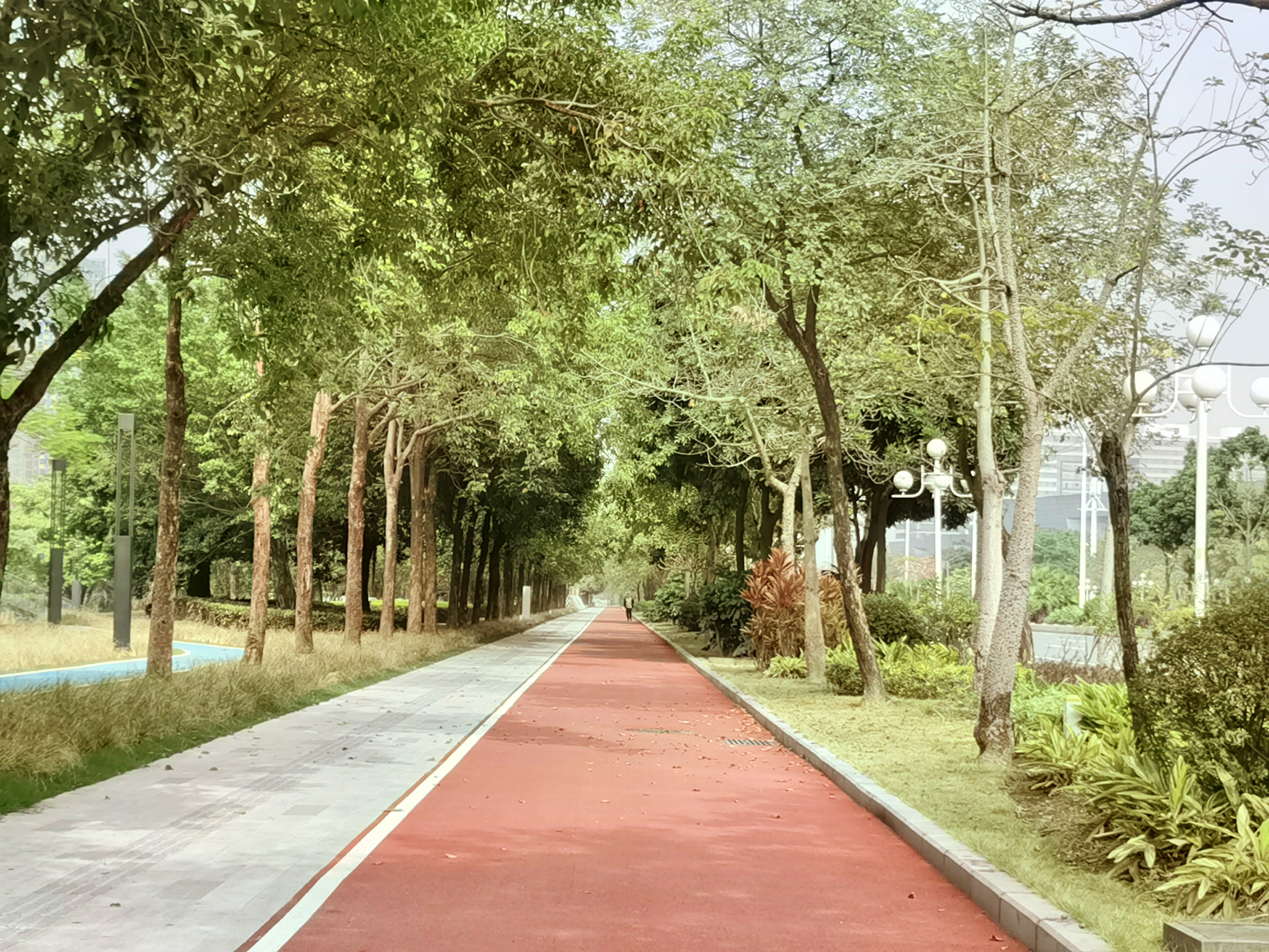 龙舟山公园旅行图片 1