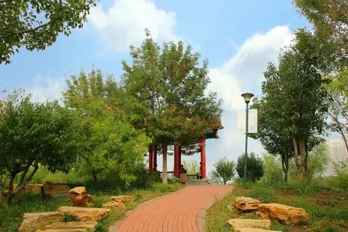 赤龙公园旅行图片 2