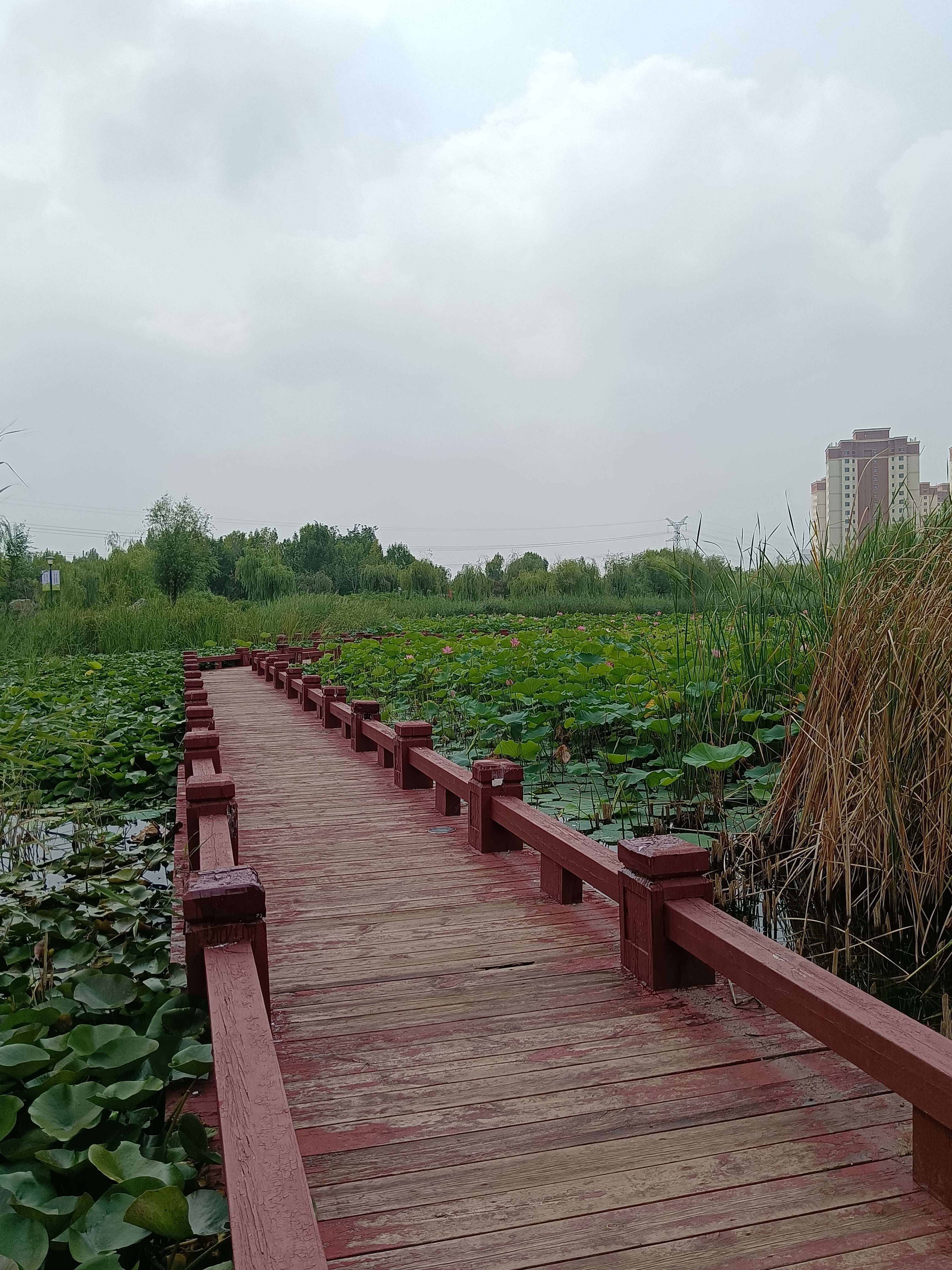 赤龙公园旅行图片 3