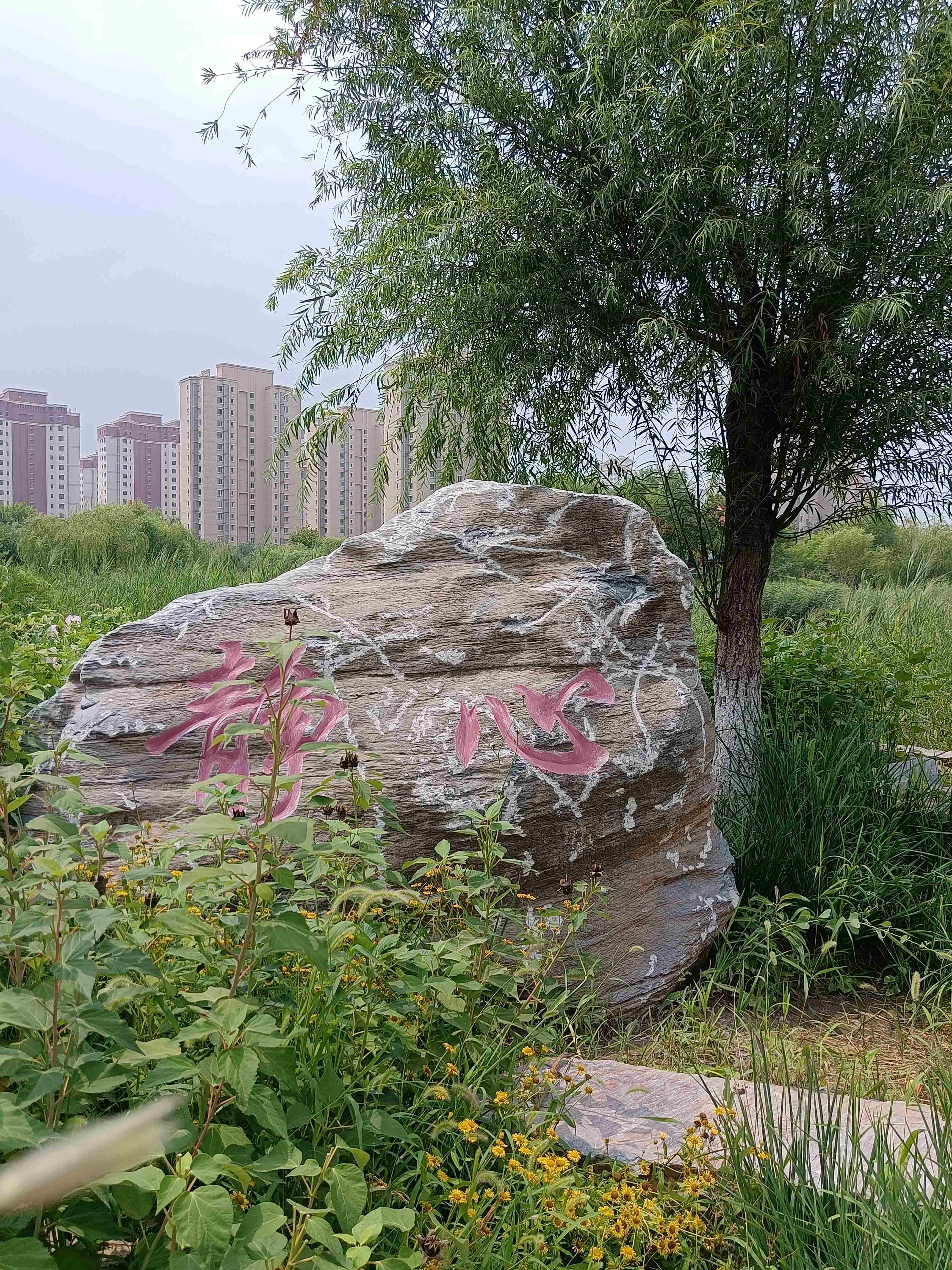 赤龙公园旅行图片 2