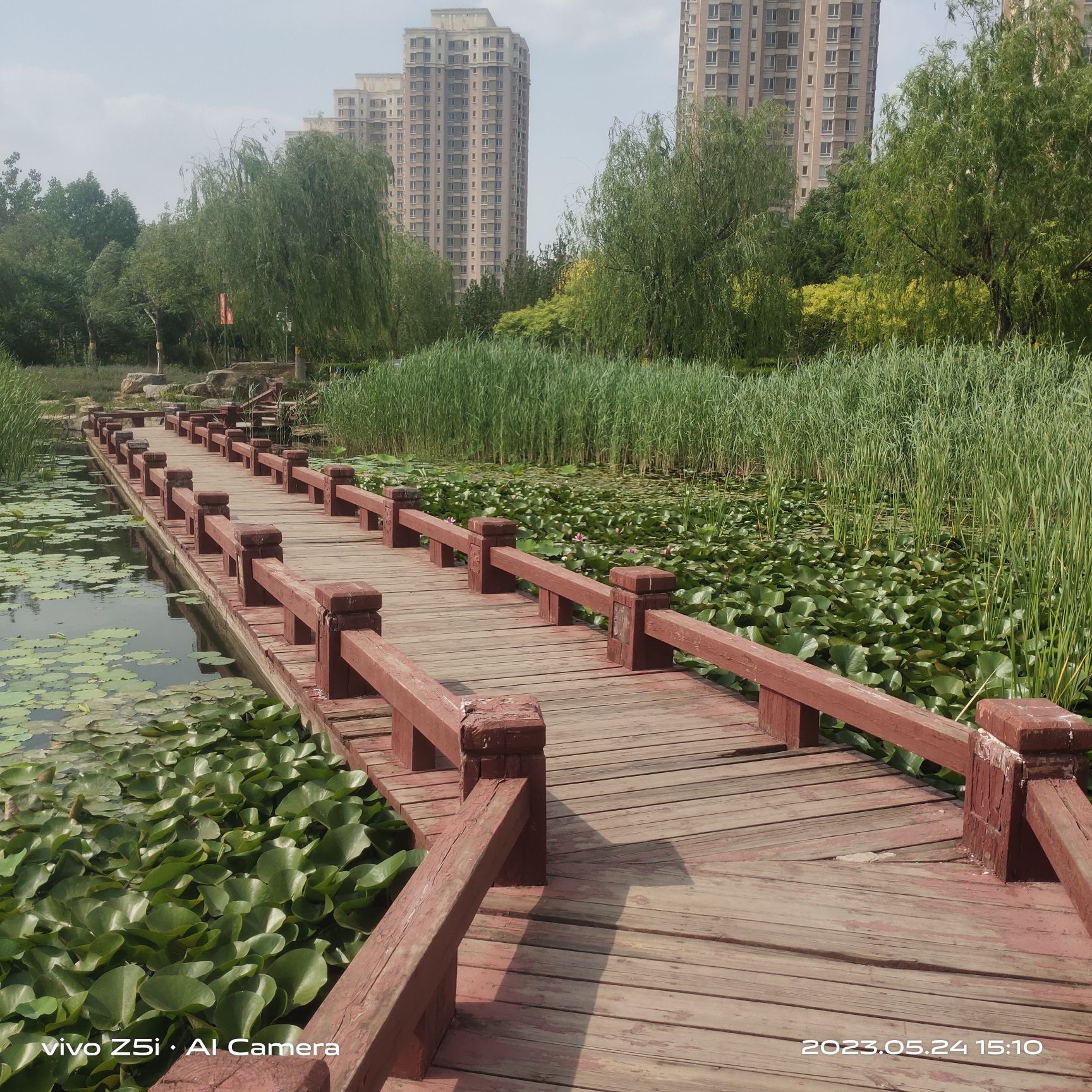 赤龙公园旅行图片 3