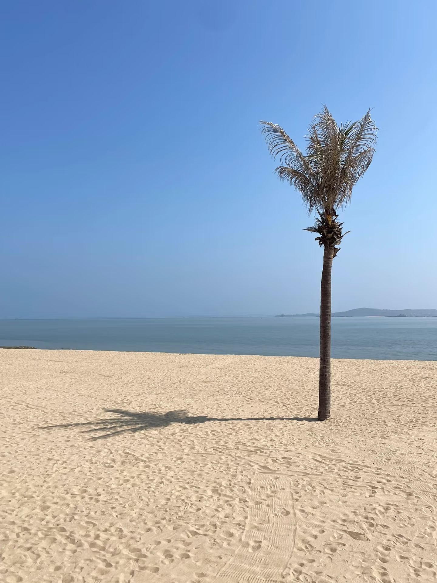 会展中心沙滩旅行图片 3