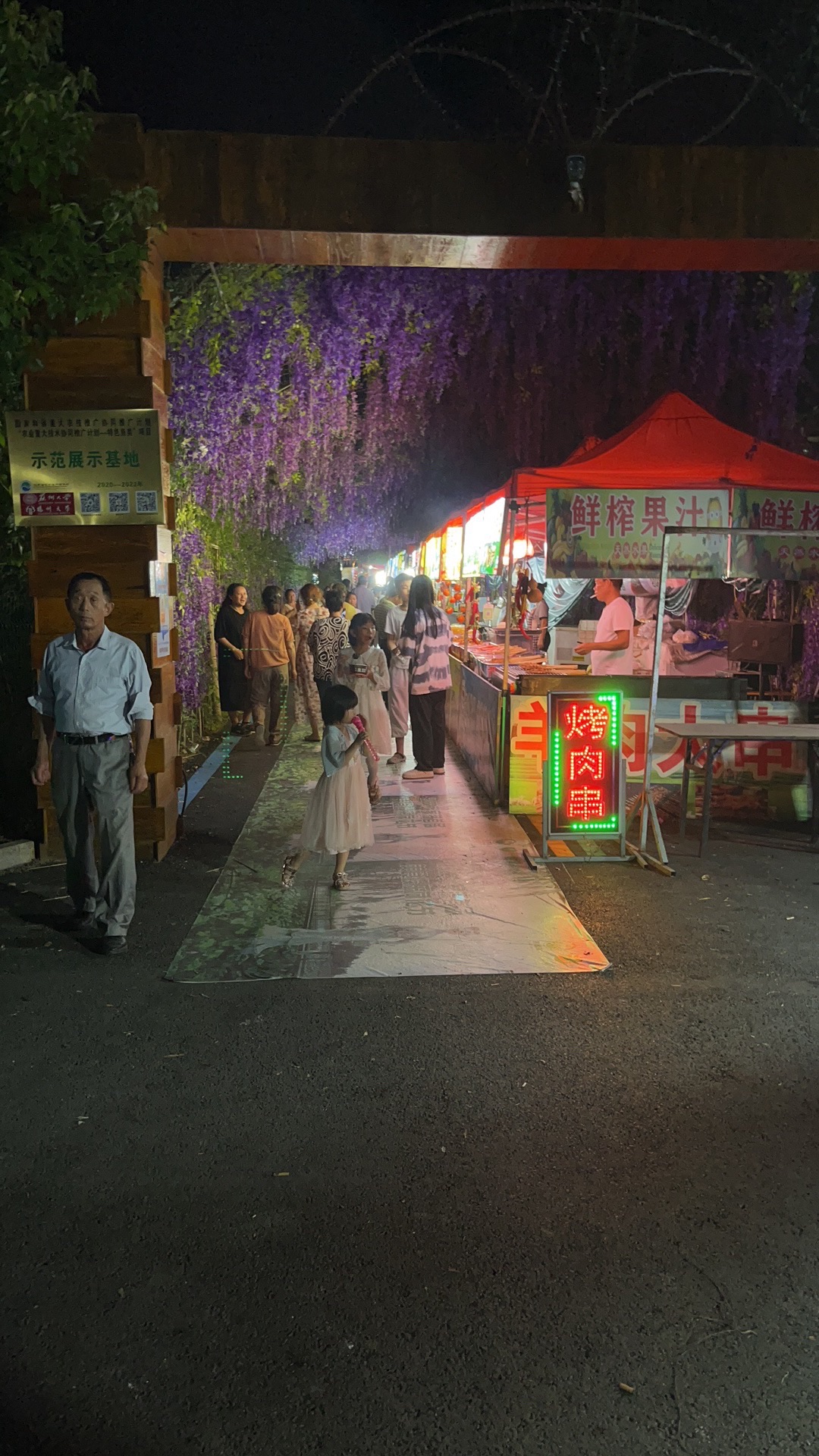 响水韩家荡雁红莲景区旅行图片 2