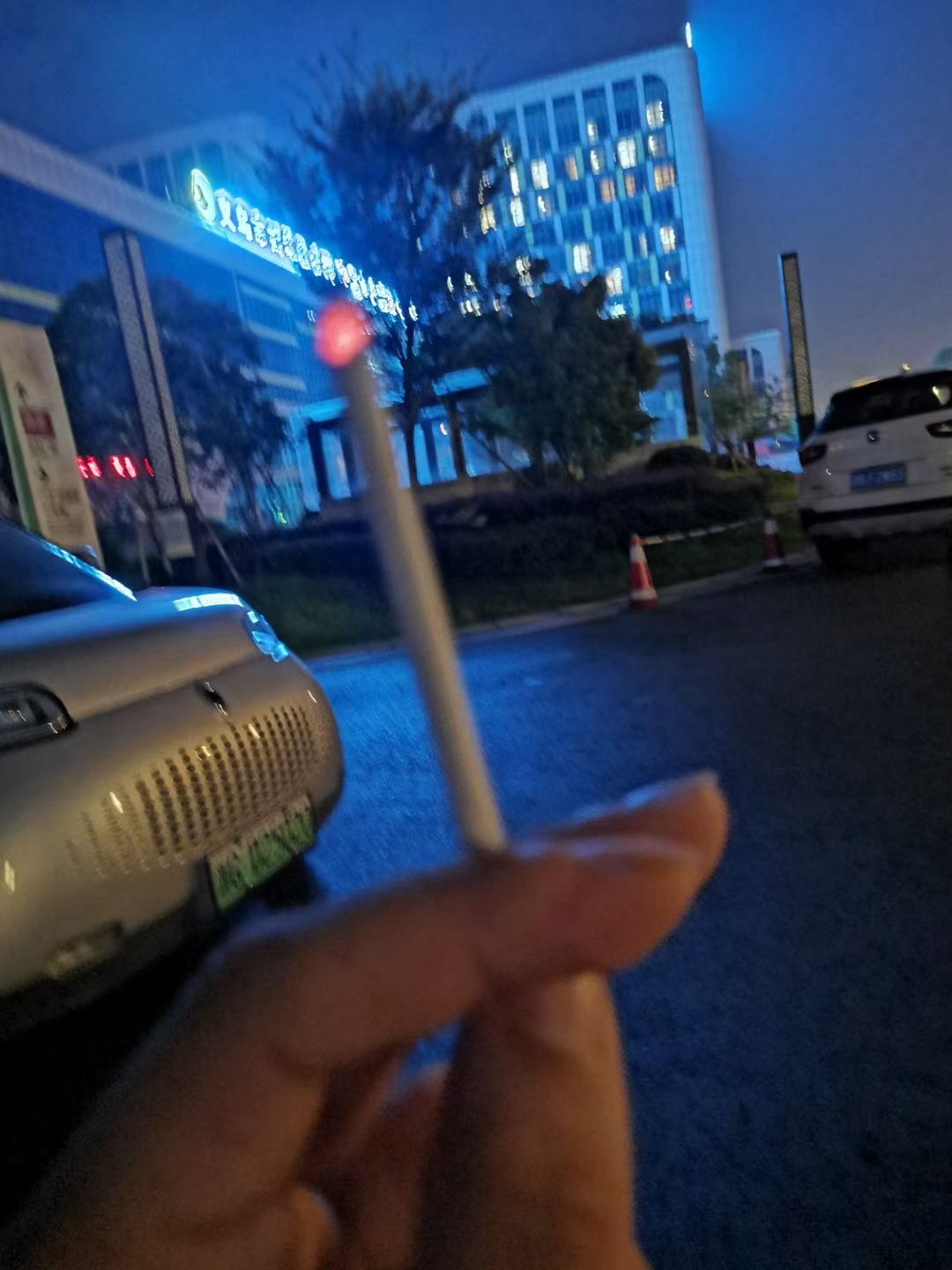节庆健康主题公园旅行图片 2
