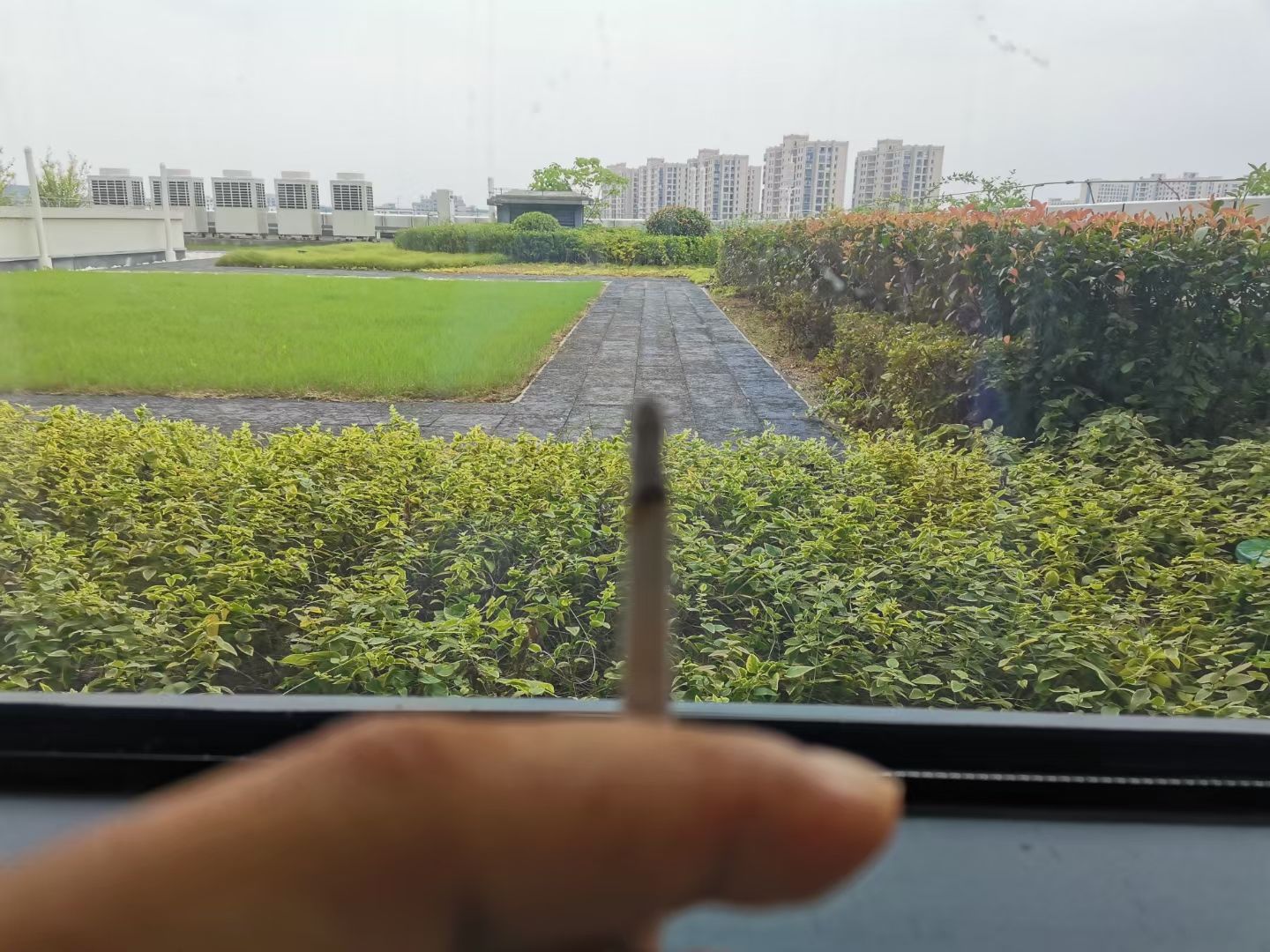 节庆健康主题公园旅行图片 1