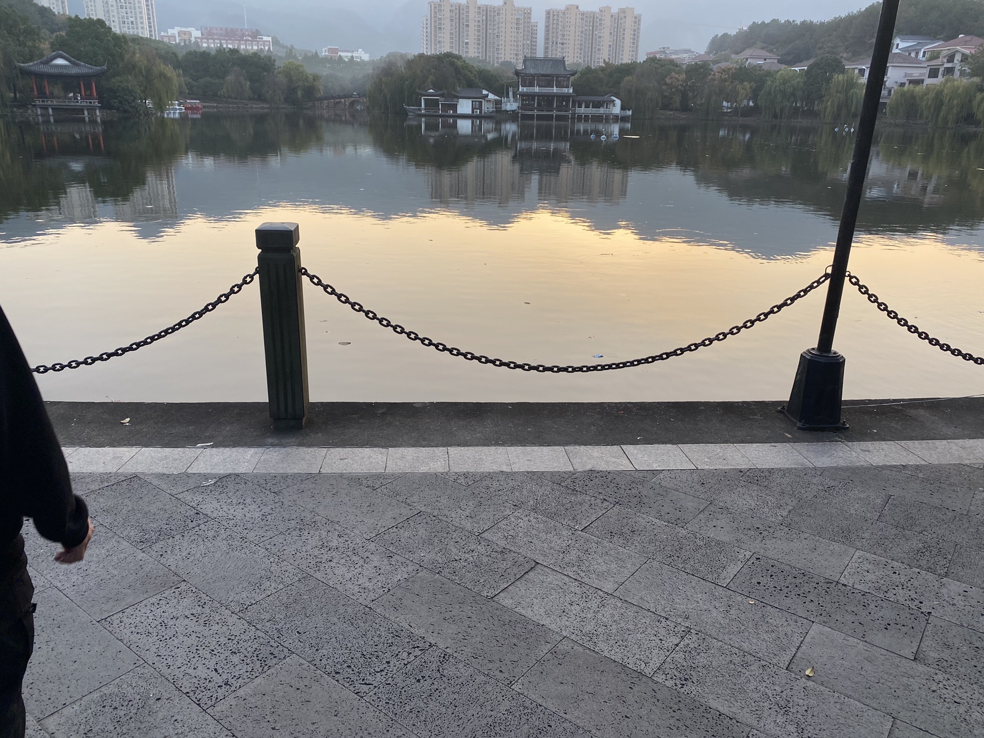 东阳南山休闲森林健康主题公园旅行图片 2