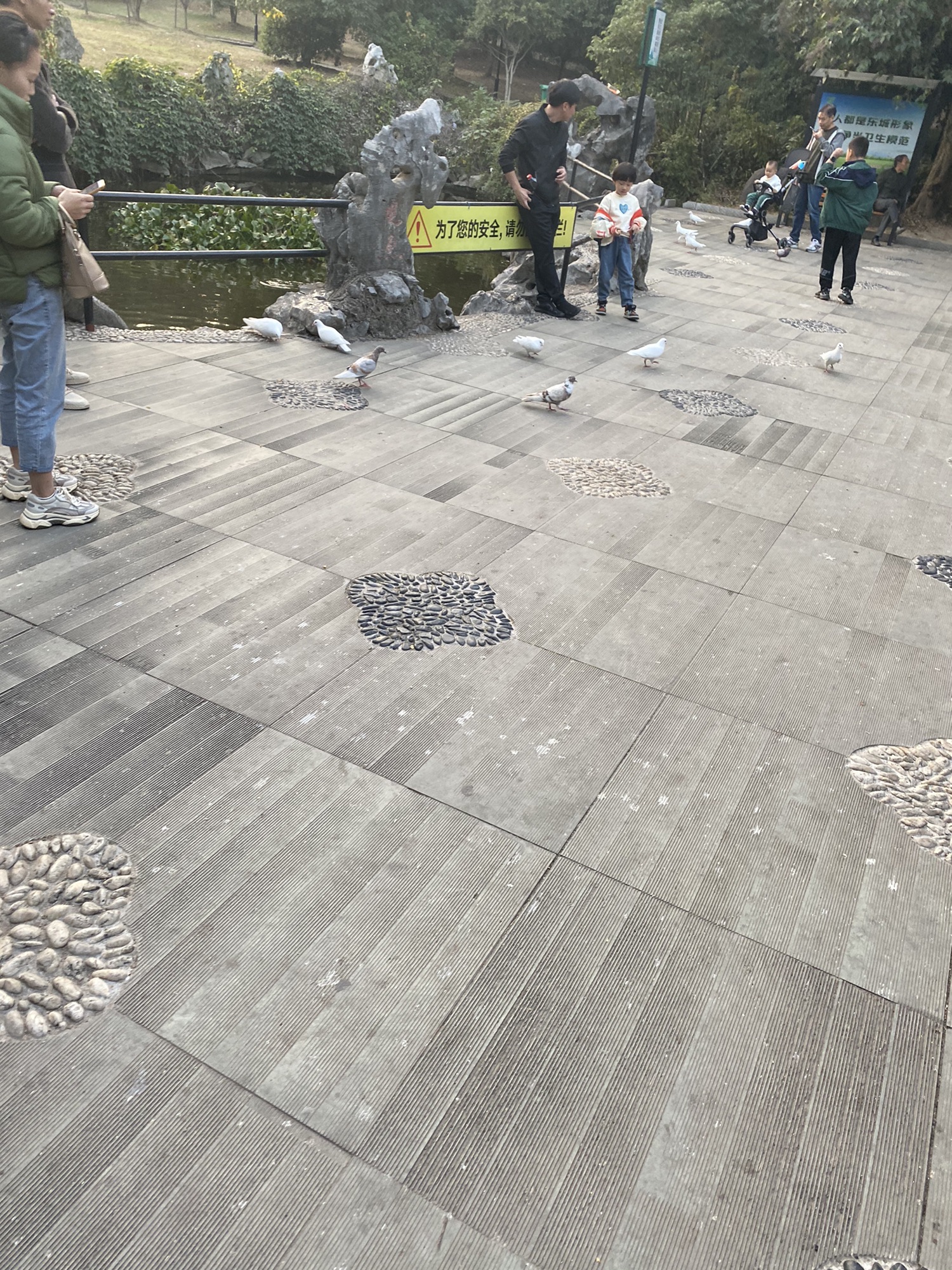 东阳南山休闲森林健康主题公园旅行图片 1