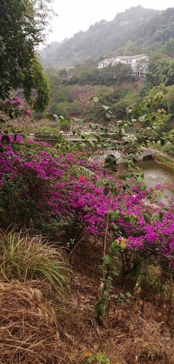 乡村印象旅行图片 2