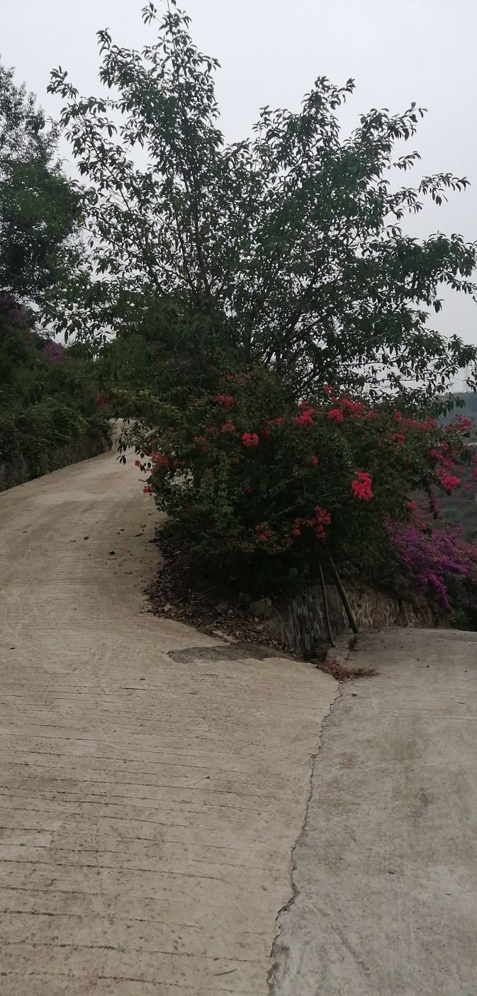 乡村印象旅行图片 3