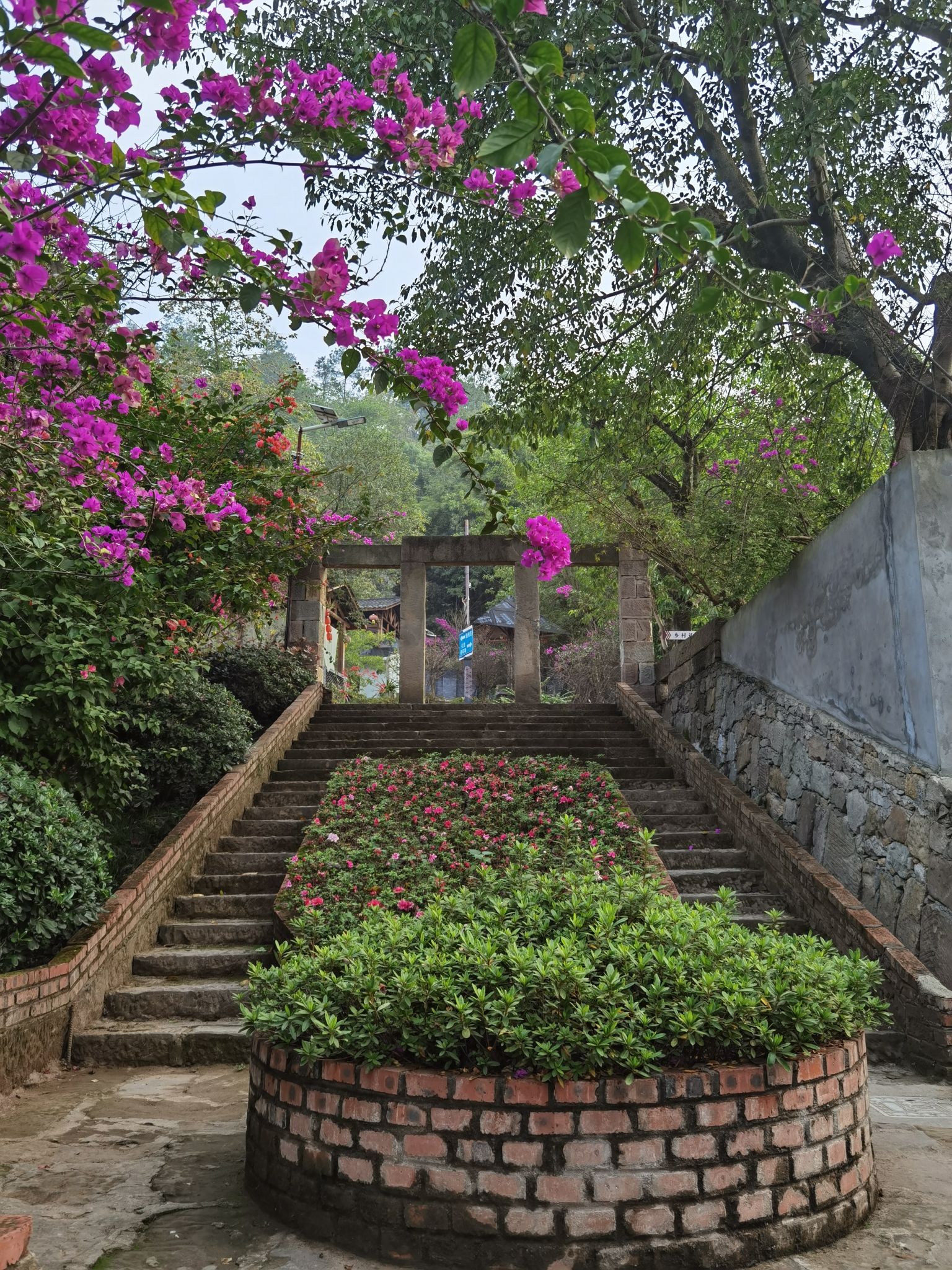 乡村印象旅行图片 1