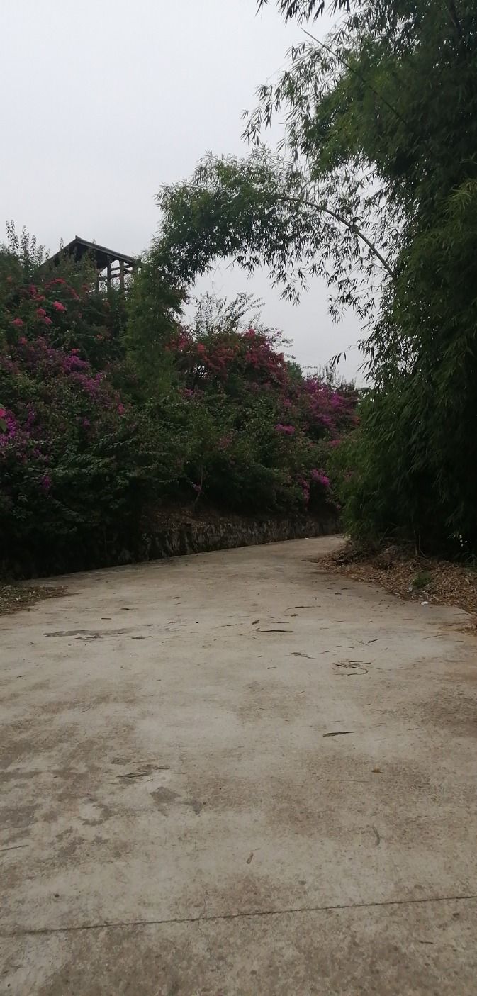 乡村印象旅行图片 1