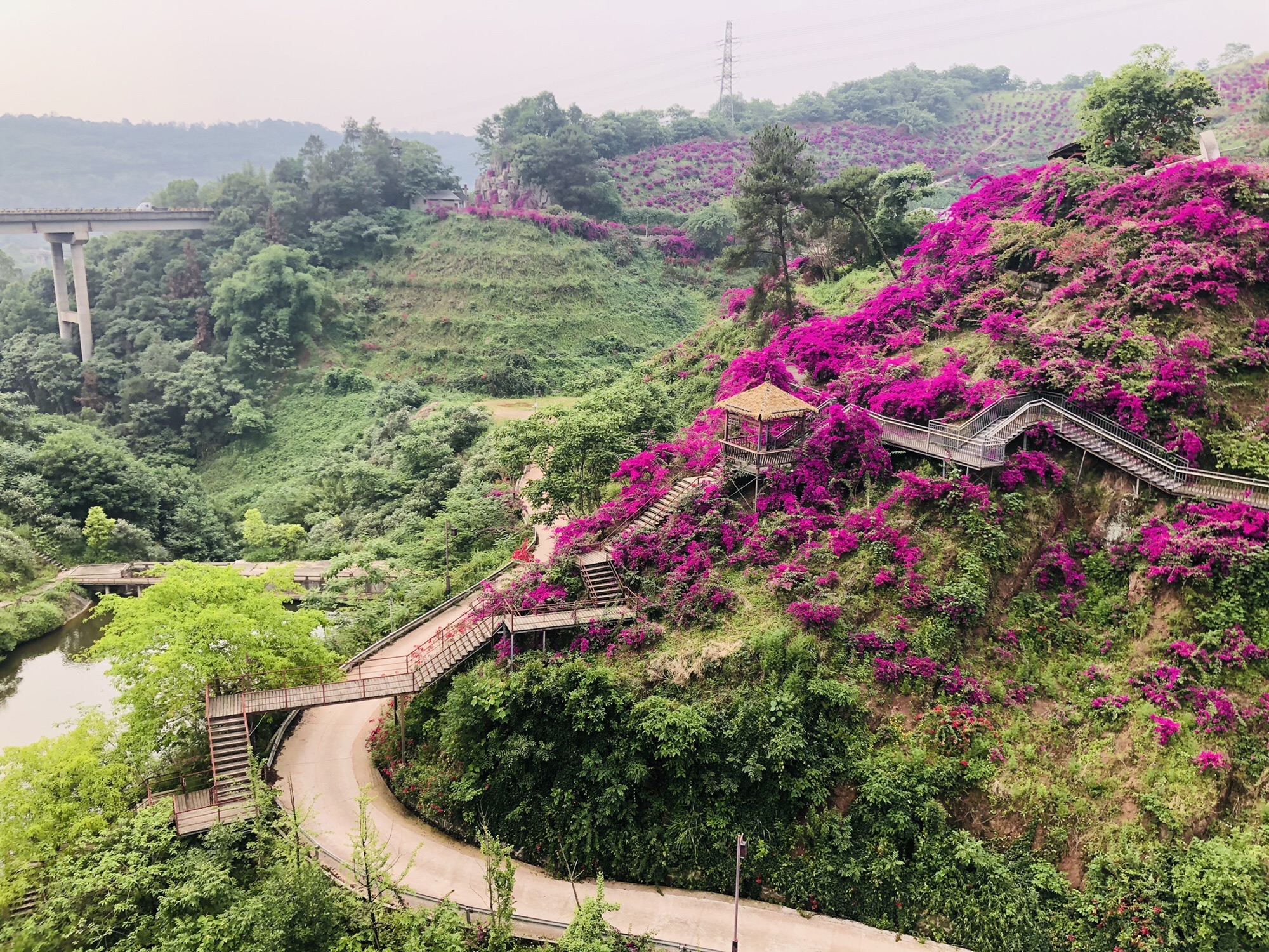 乡村印象旅行图片 1