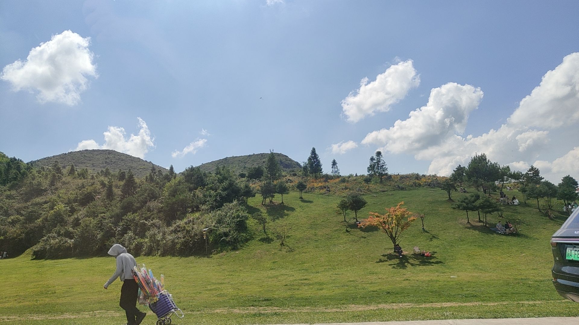 花田梯田景区旅行图片 2