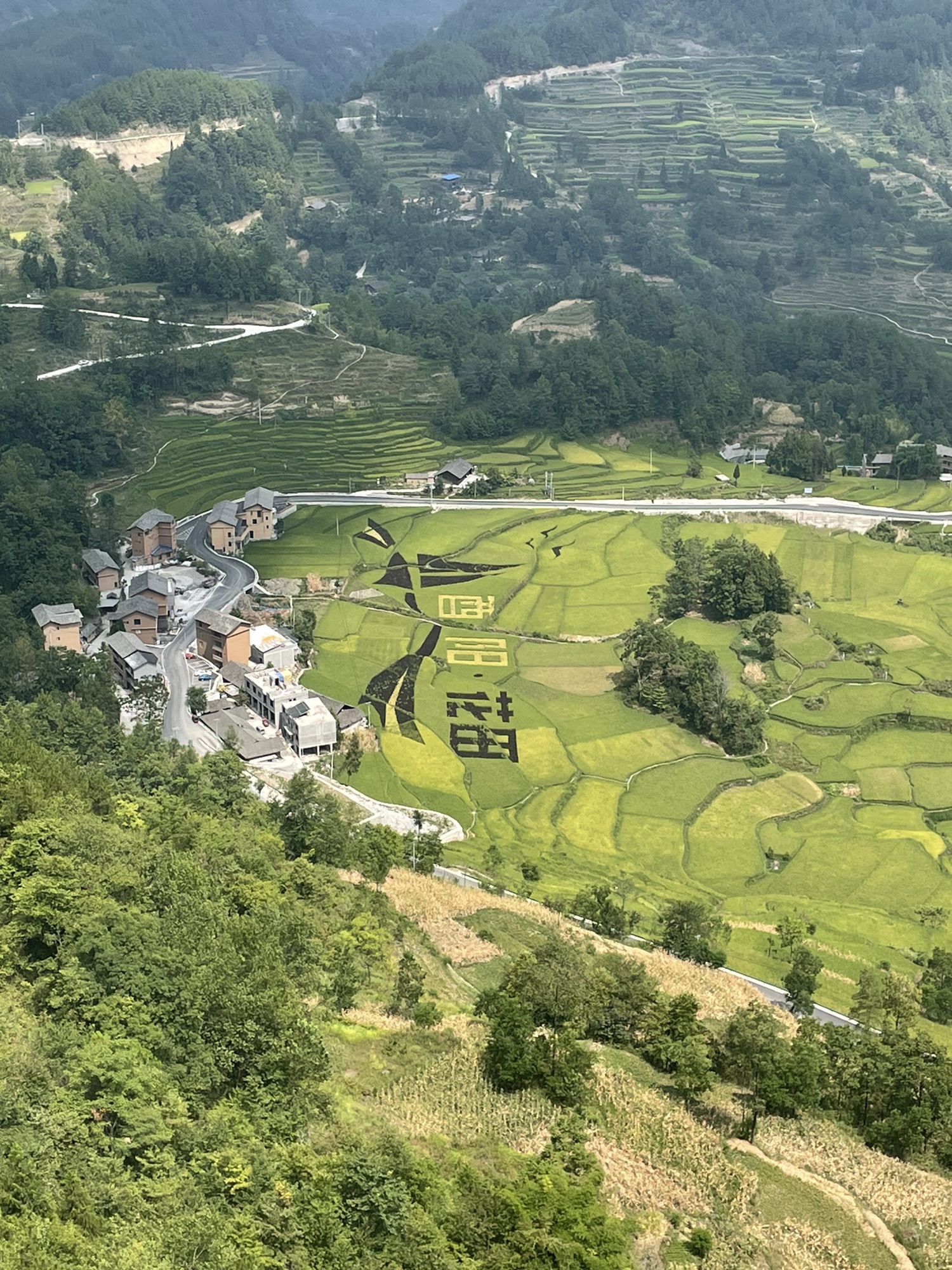 花田梯田景区旅行图片 3
