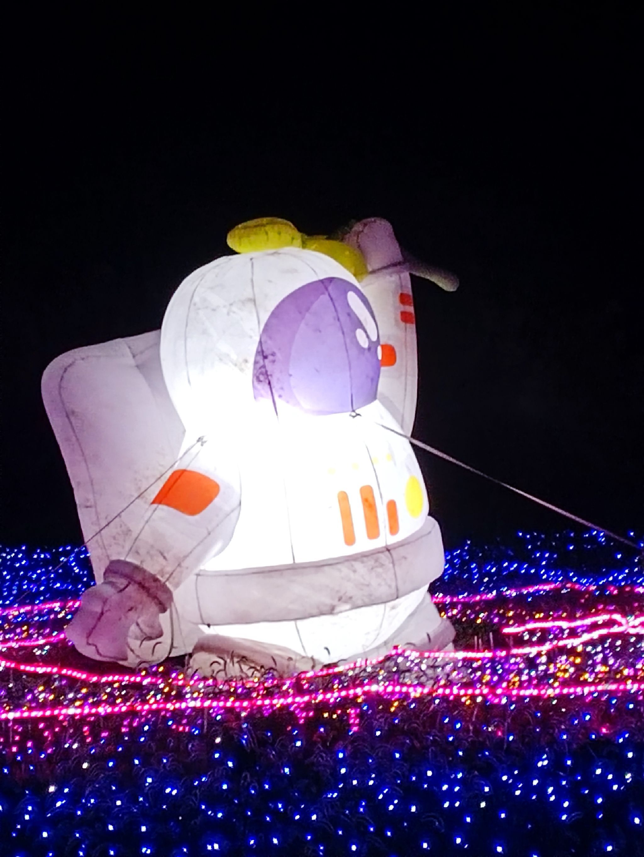 柳孜薰衣草园旅行图片 1