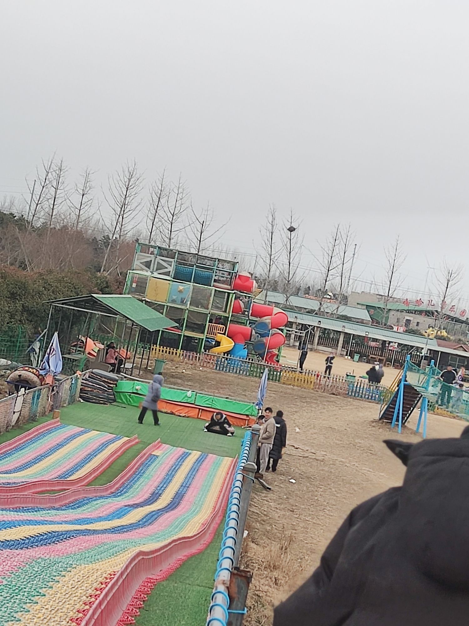 柳孜薰衣草园旅行图片 3
