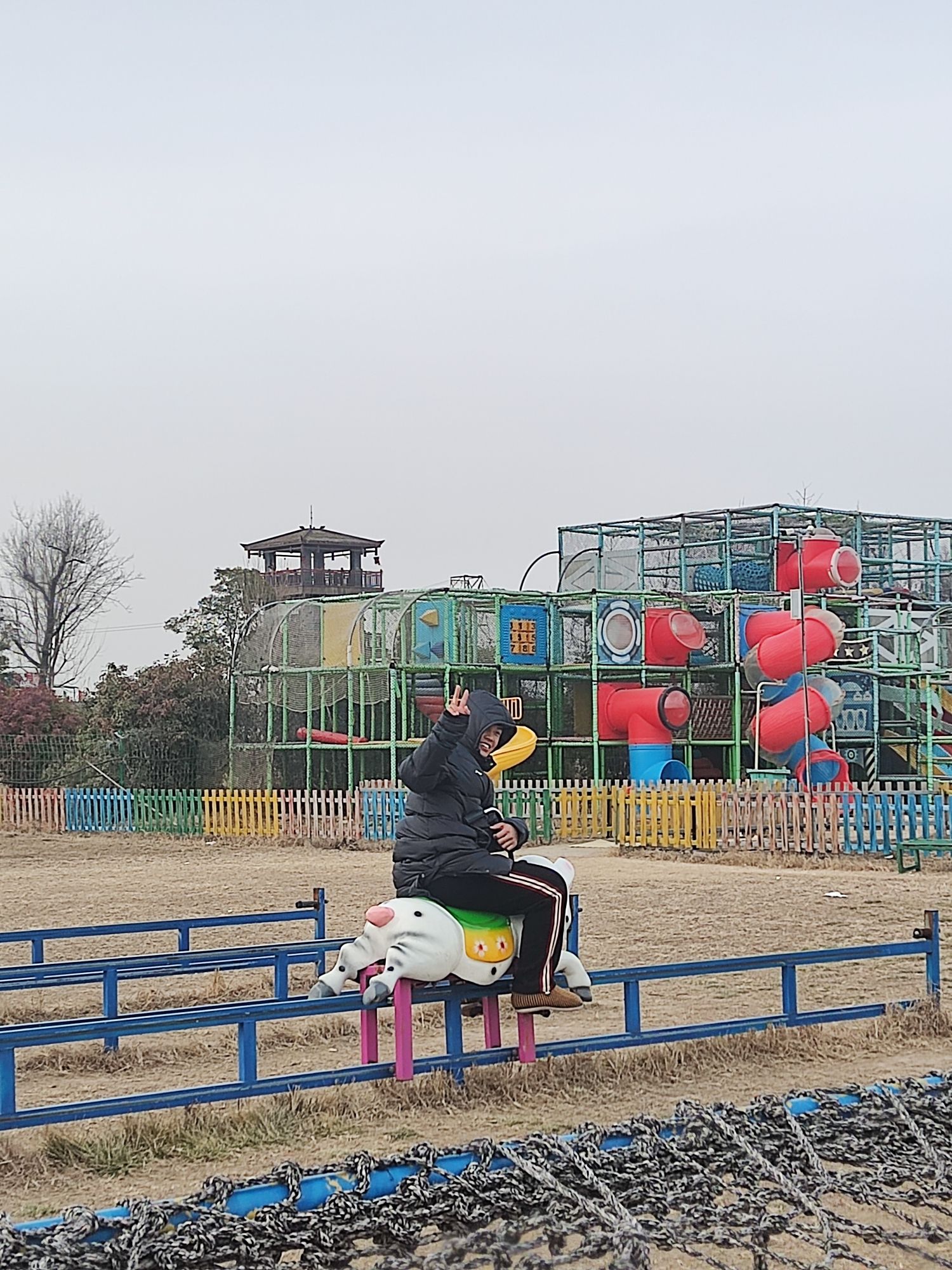 柳孜薰衣草园旅行图片 2