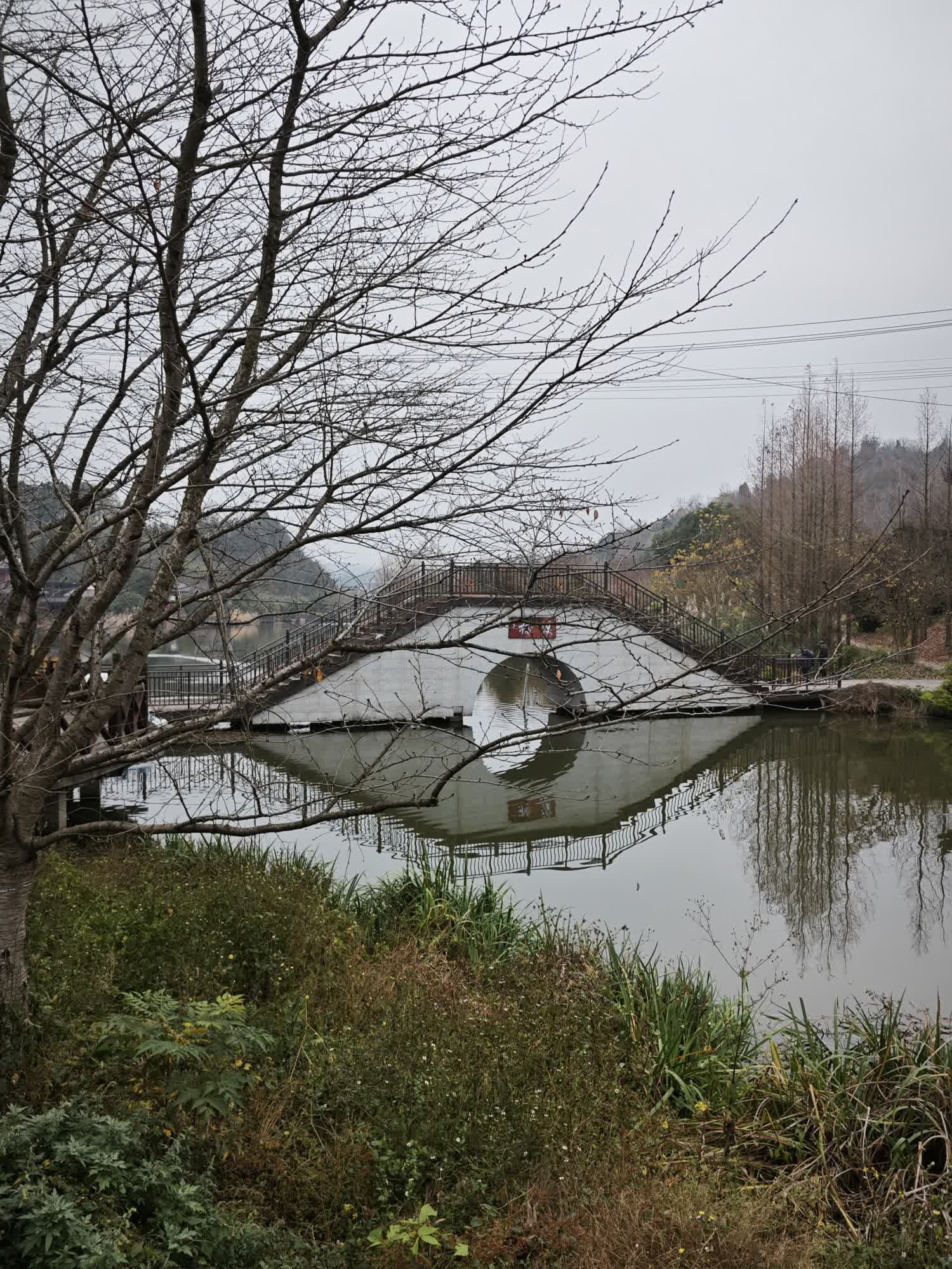 深溪莲池湿地公园旅行图片 1