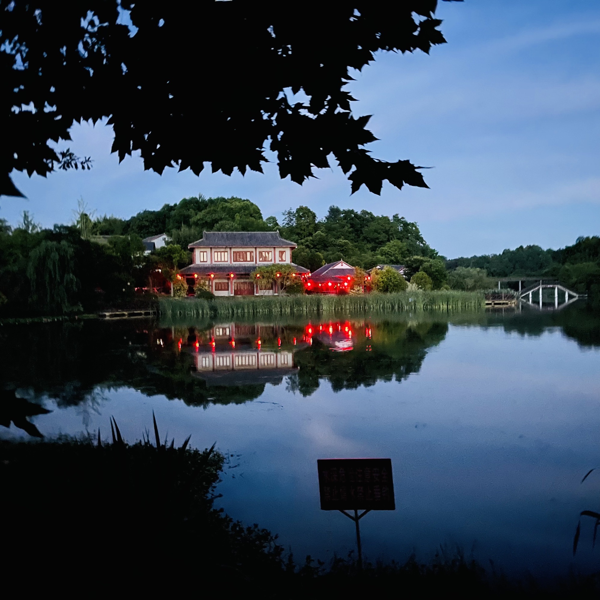 深溪莲池湿地公园旅行图片 3