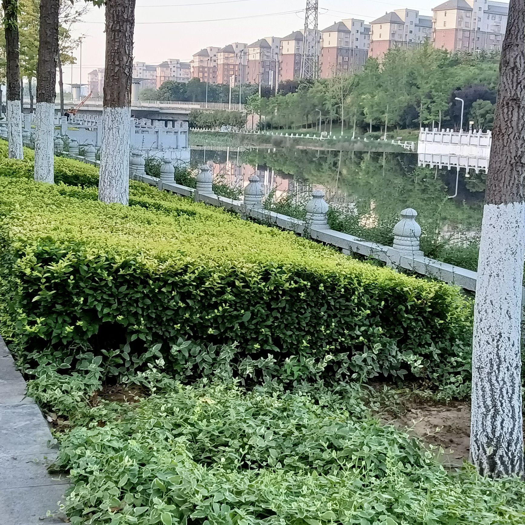 梅河公园旅行图片 1
