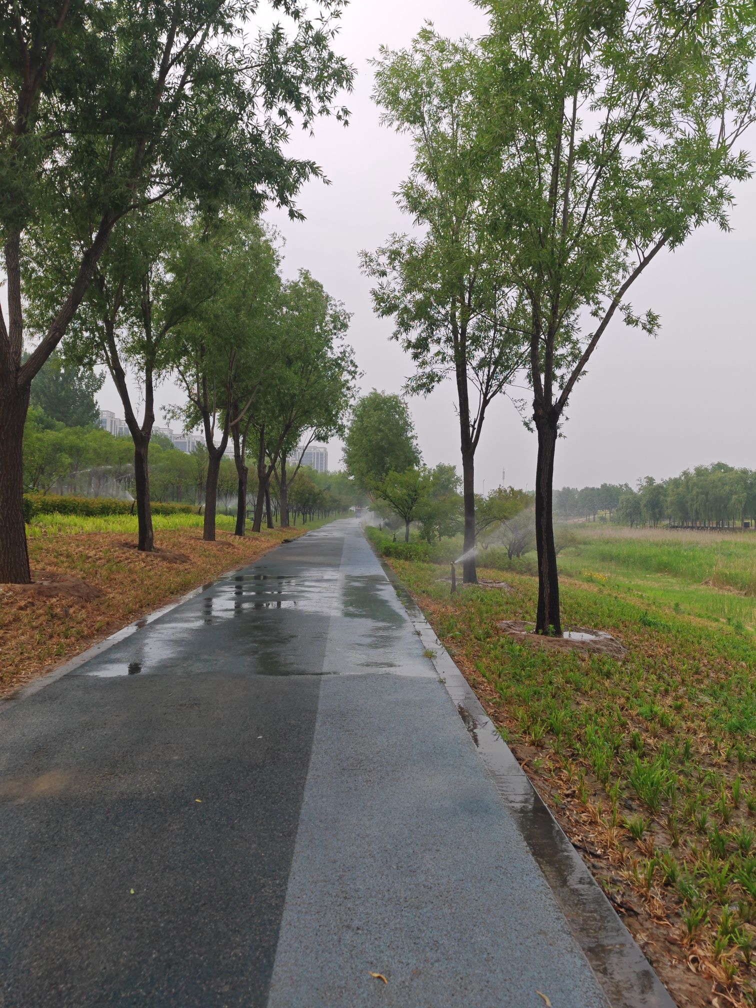 梅河公园旅行图片 2