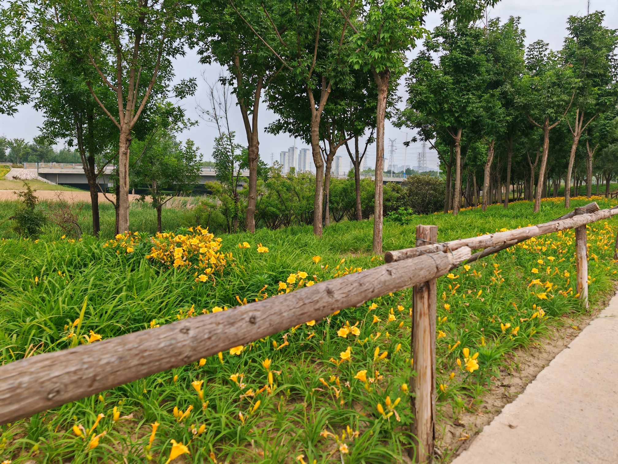 梅河公园旅行图片 3