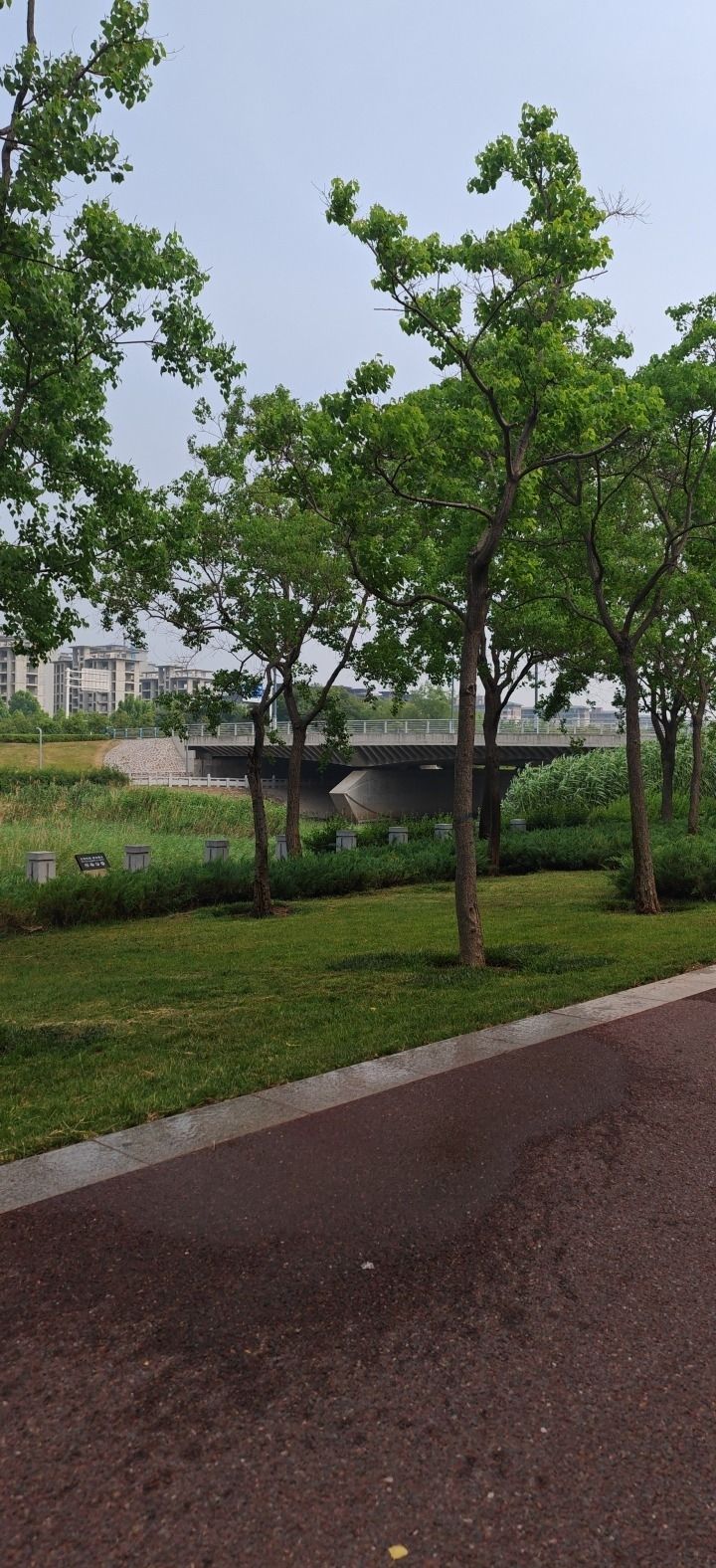 梅河公园旅行图片 1