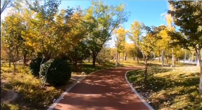 滨水新城中央公园旅行图片 2