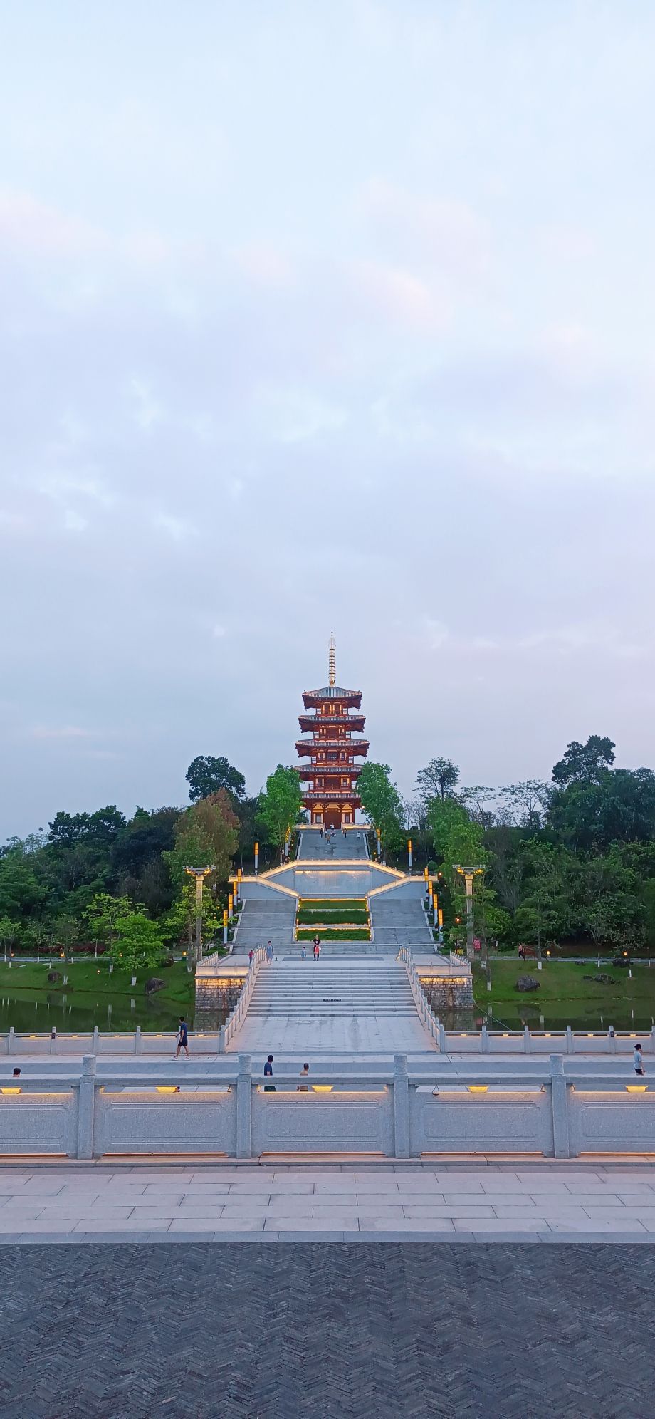 新兴县金台山森林公园旅行图片 2