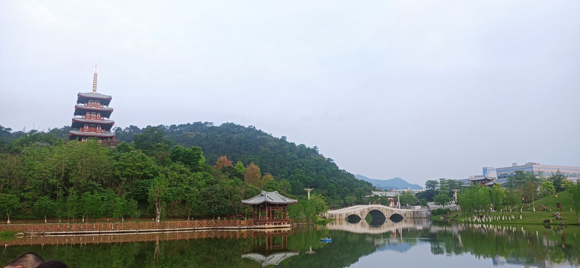 新兴县金台山森林公园旅行图片 3
