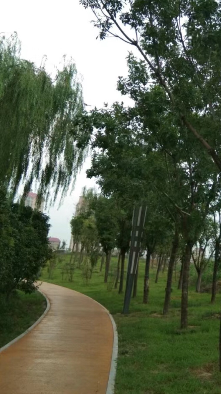 大禹湖旅行图片 3