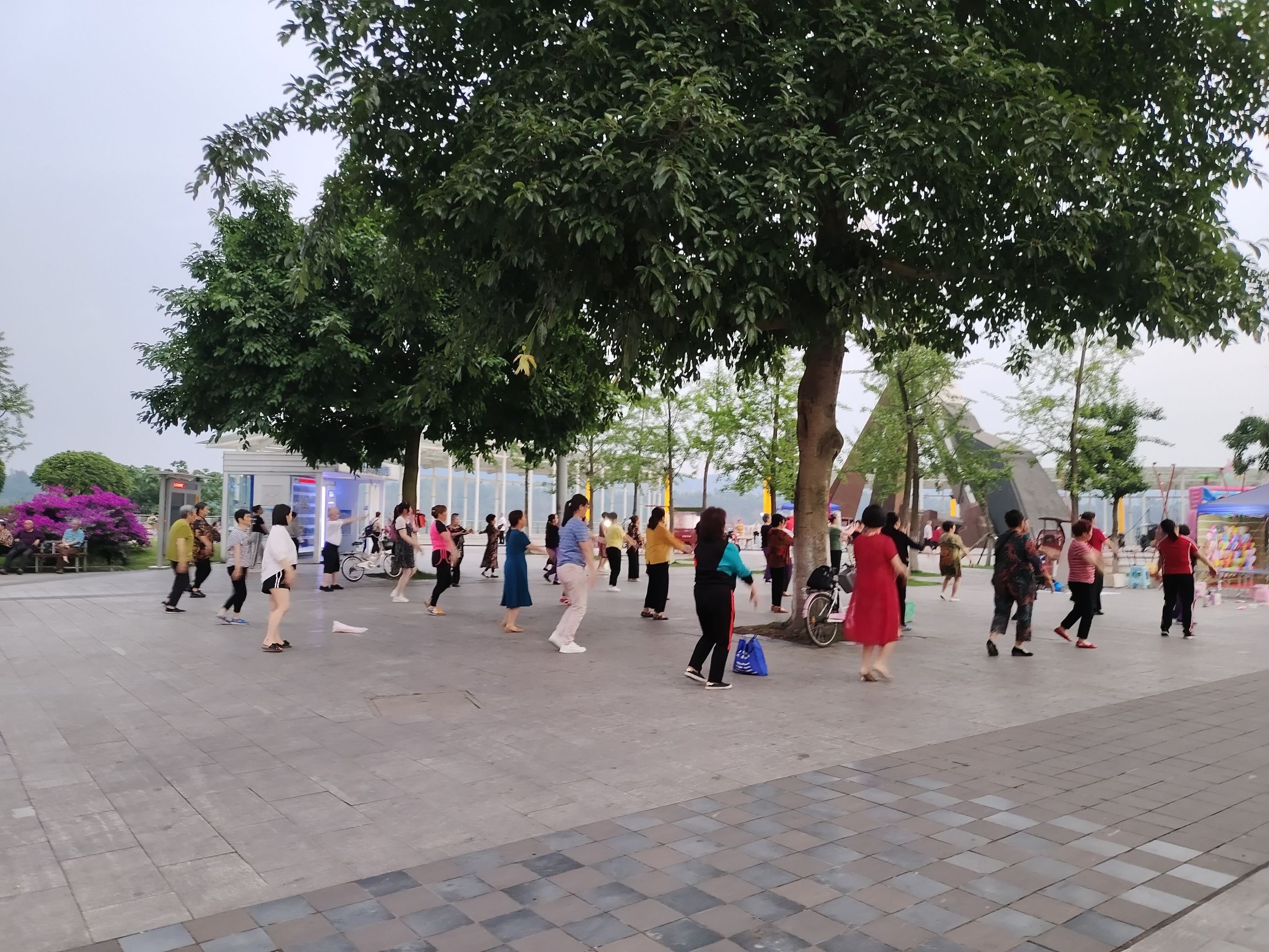 南溪区湿地公园旅行图片 3