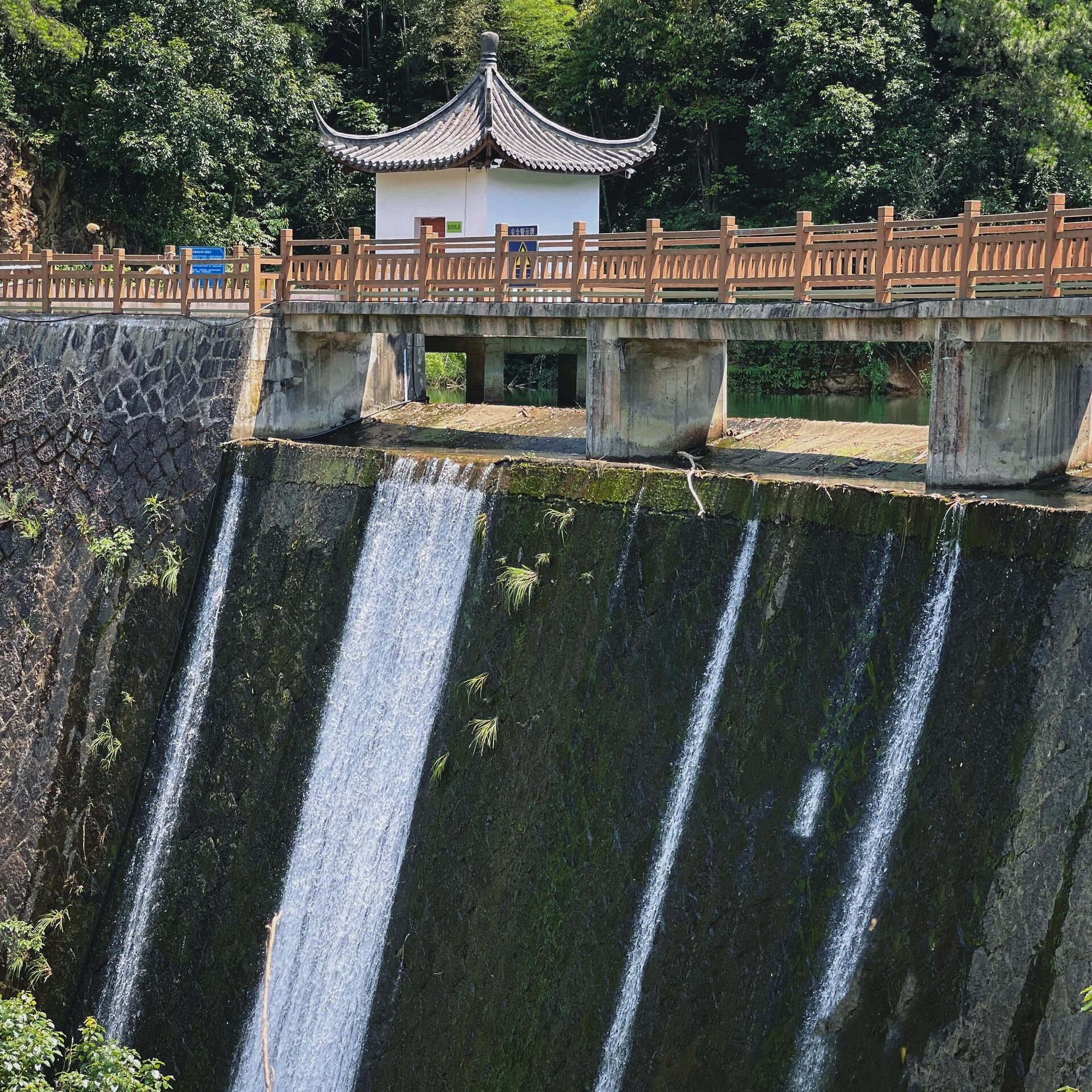 皇岗山公园旅行图片 1