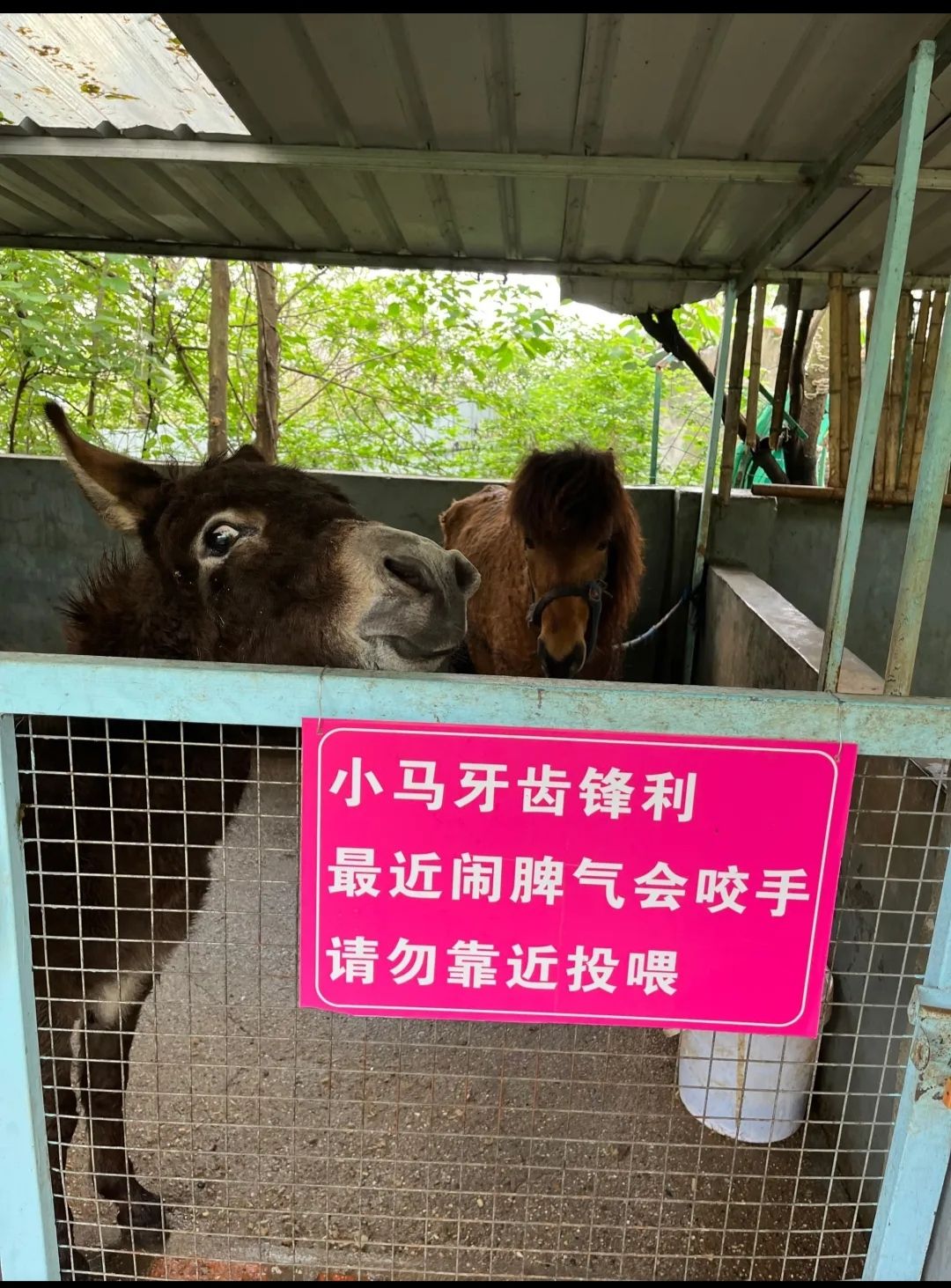 皇岗山公园旅行图片 1