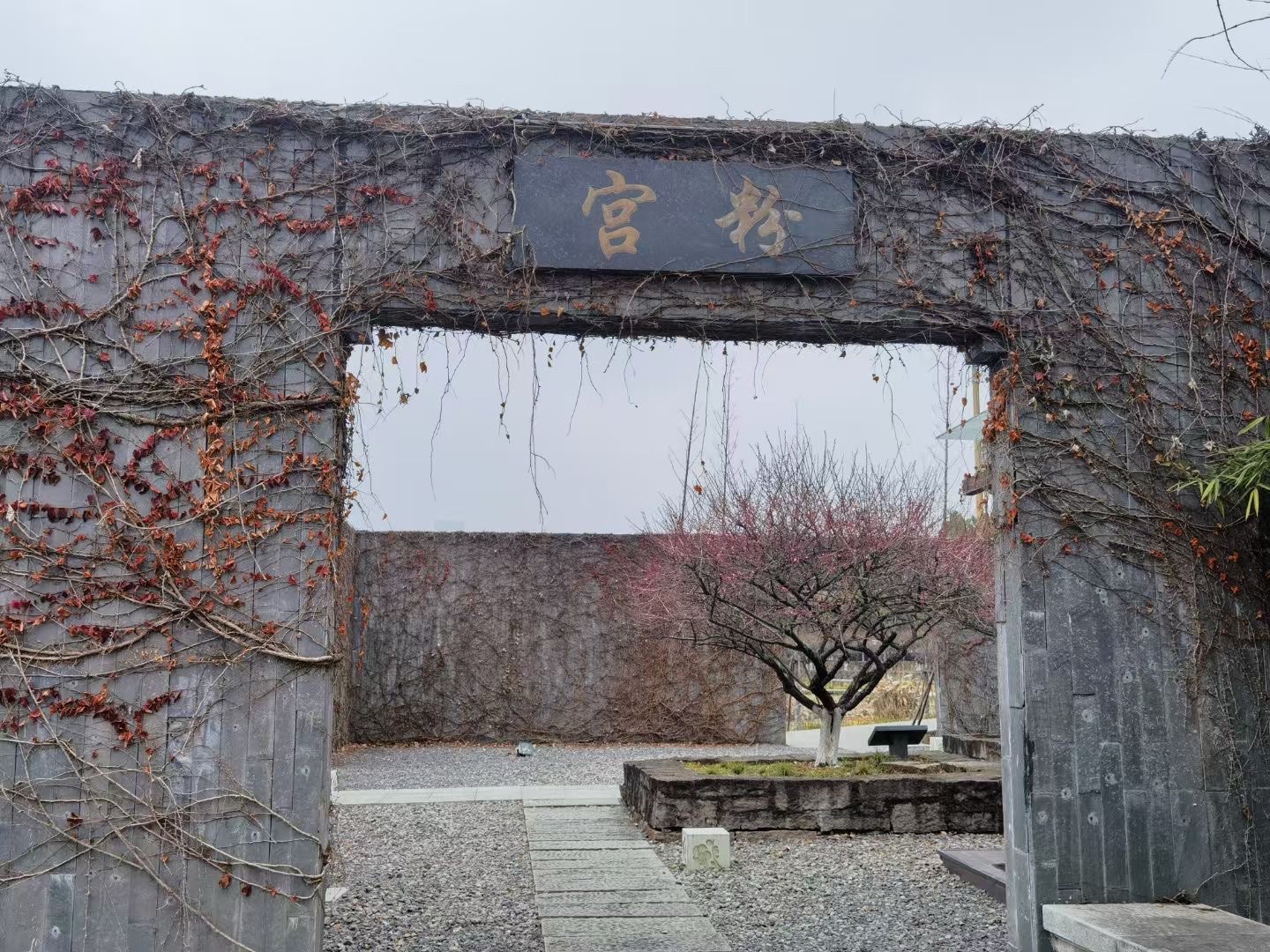 梅园旅行图片 2