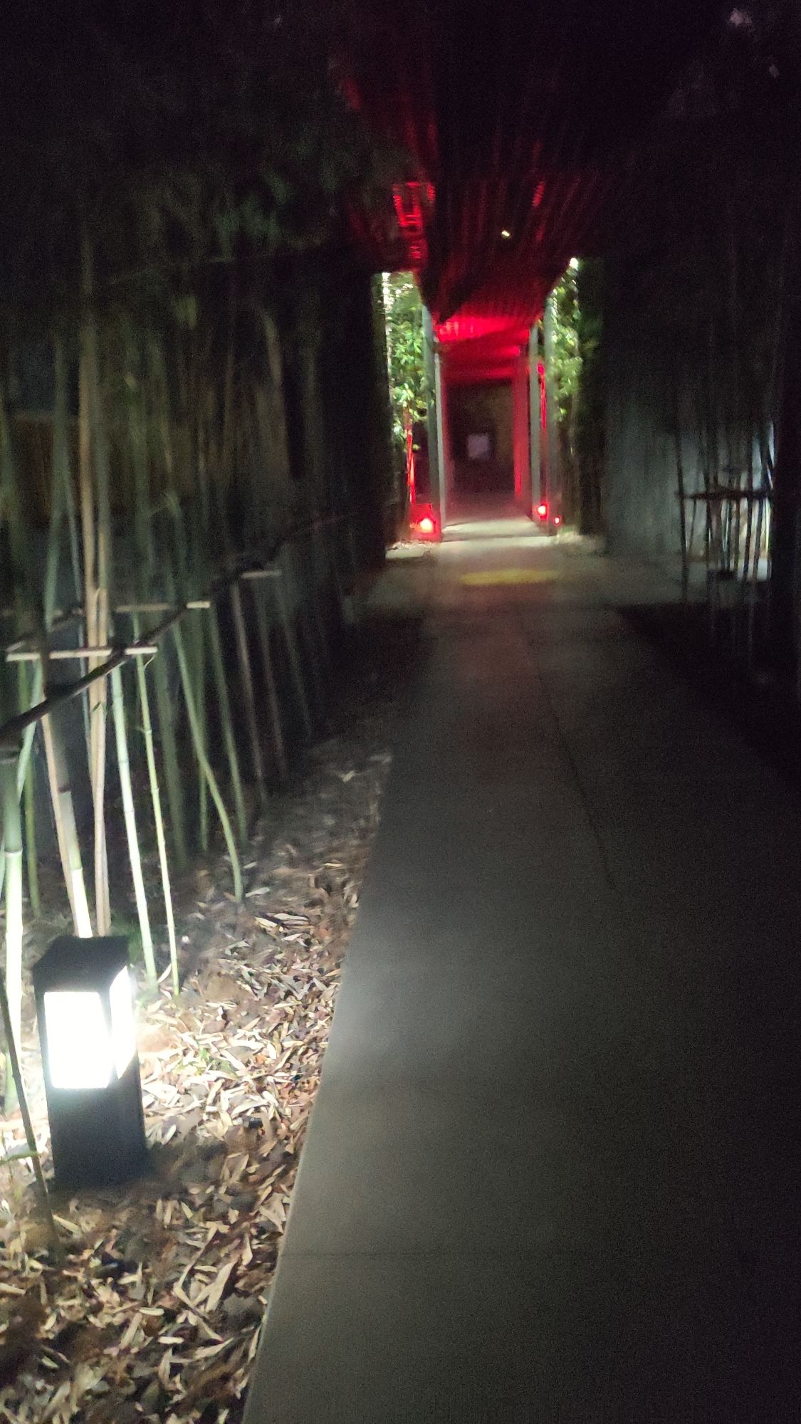 梅园旅行图片 2